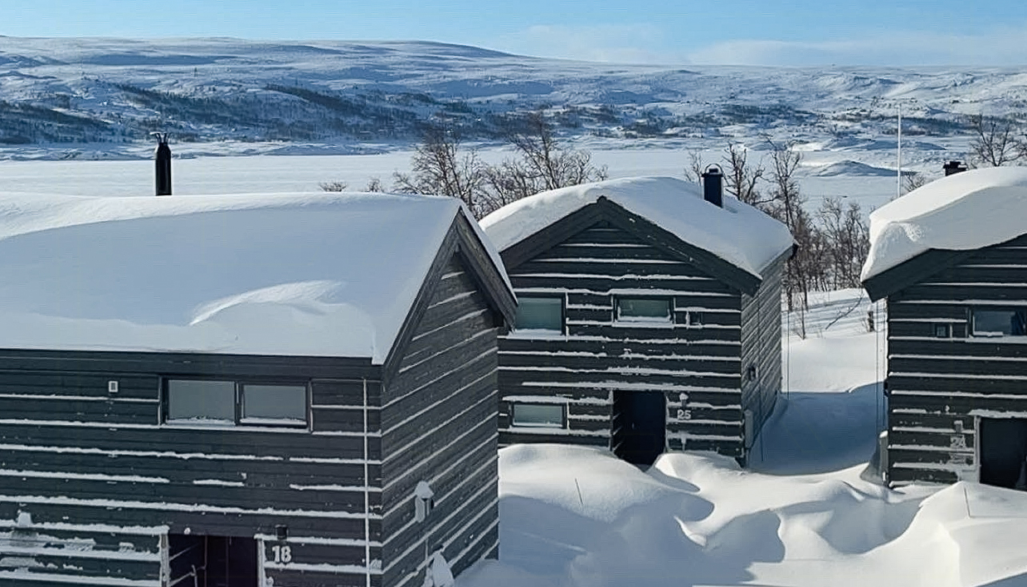 Cabins close to cross-country trails cover image