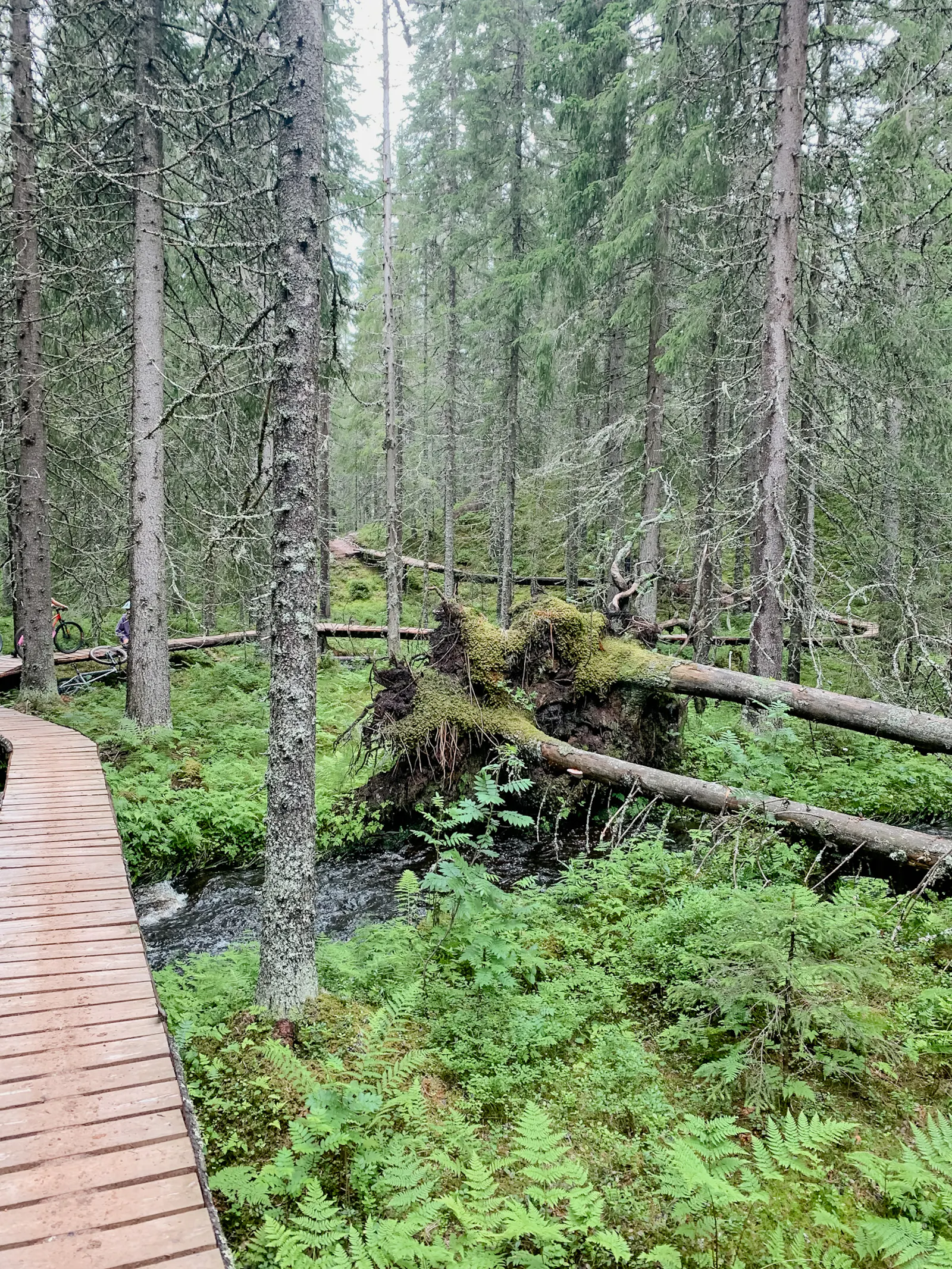 Bergsstuga med panoramautsikt för aktiv semester – bild 19 av 20