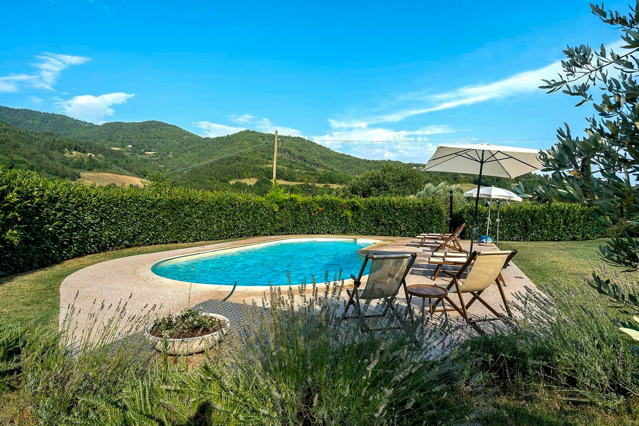 Sansepolcro cover image