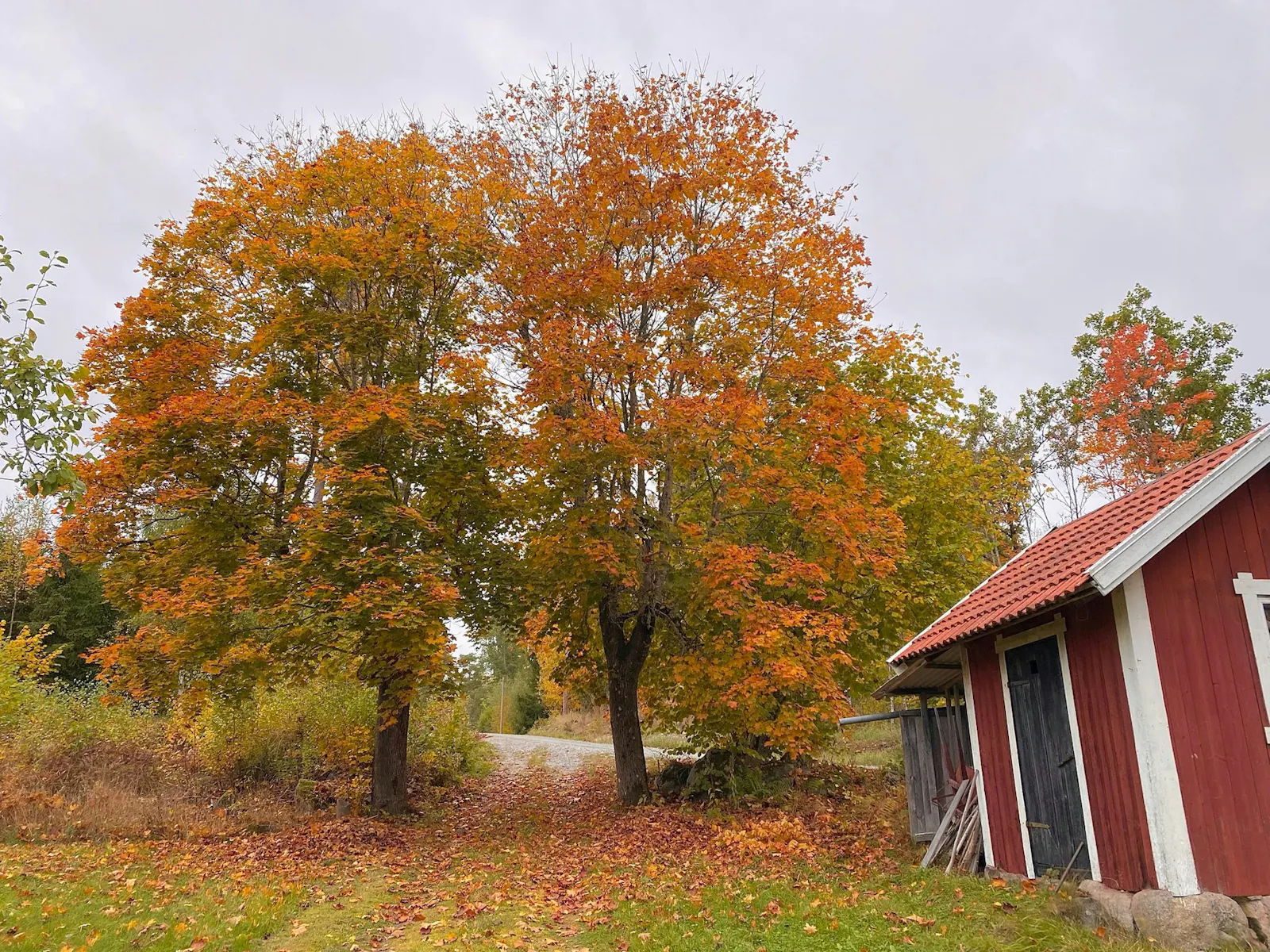 Renoverad villa från 1916 vid sjön i Nykvarn – bild 22 av 24