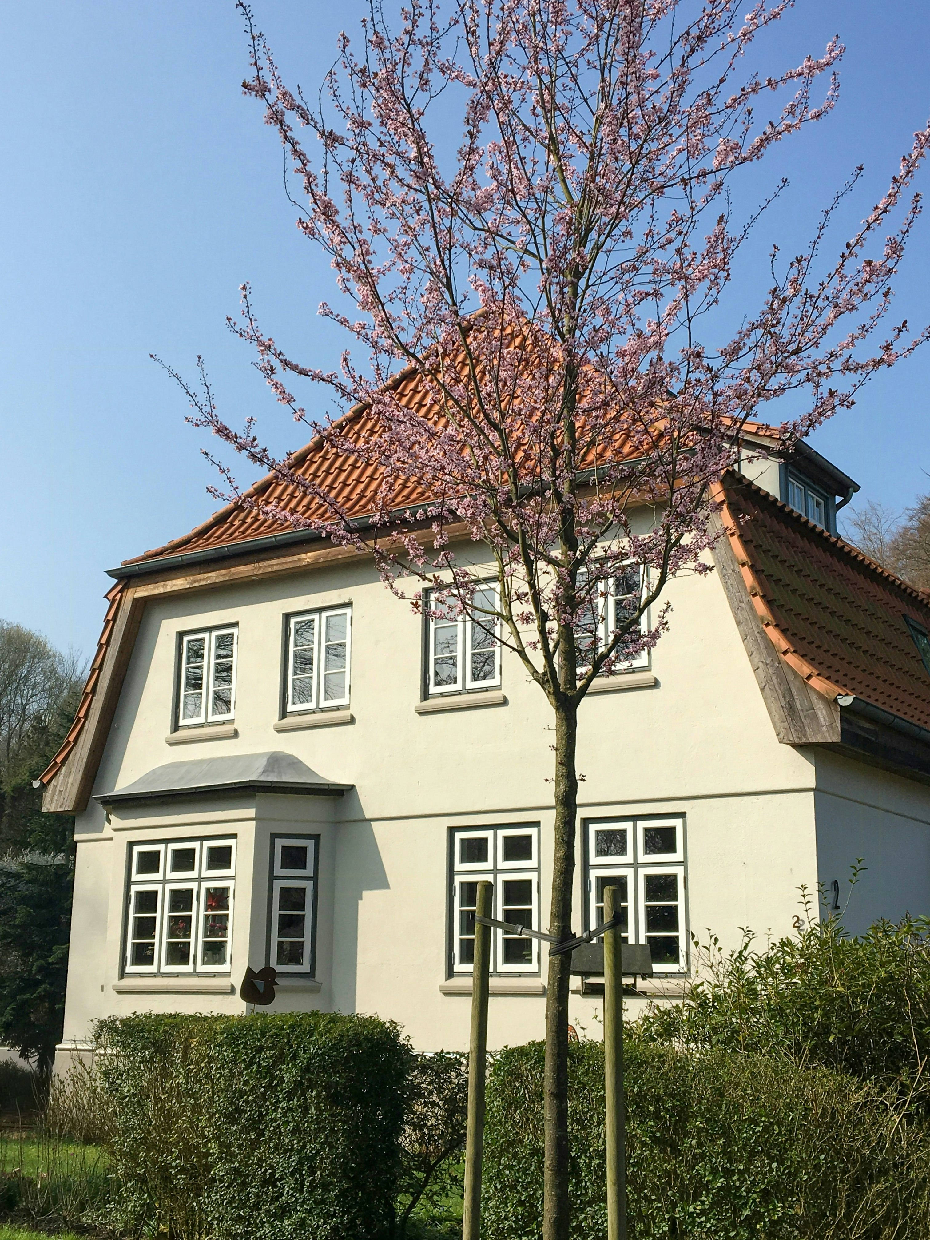 Glücksburg cover image