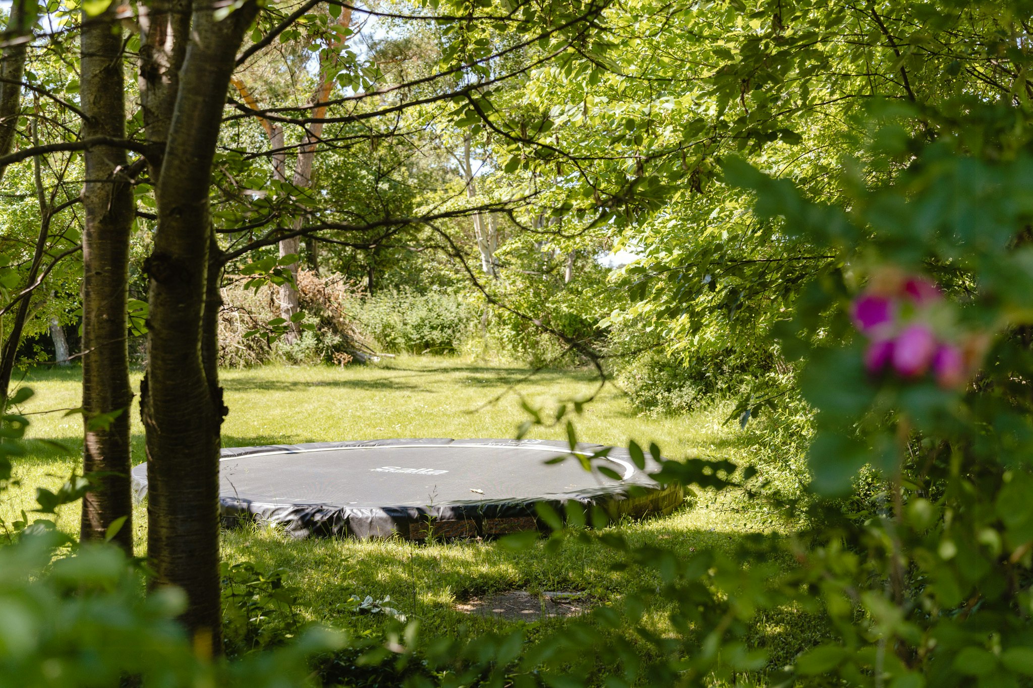 Summer houses with a trampoline cover image