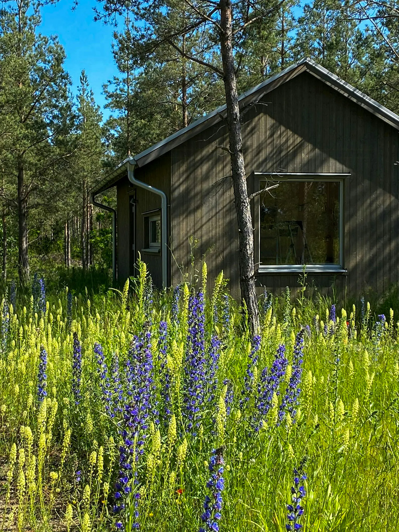 Cozy guest house on the Ekstakusten – bild 3 av 24