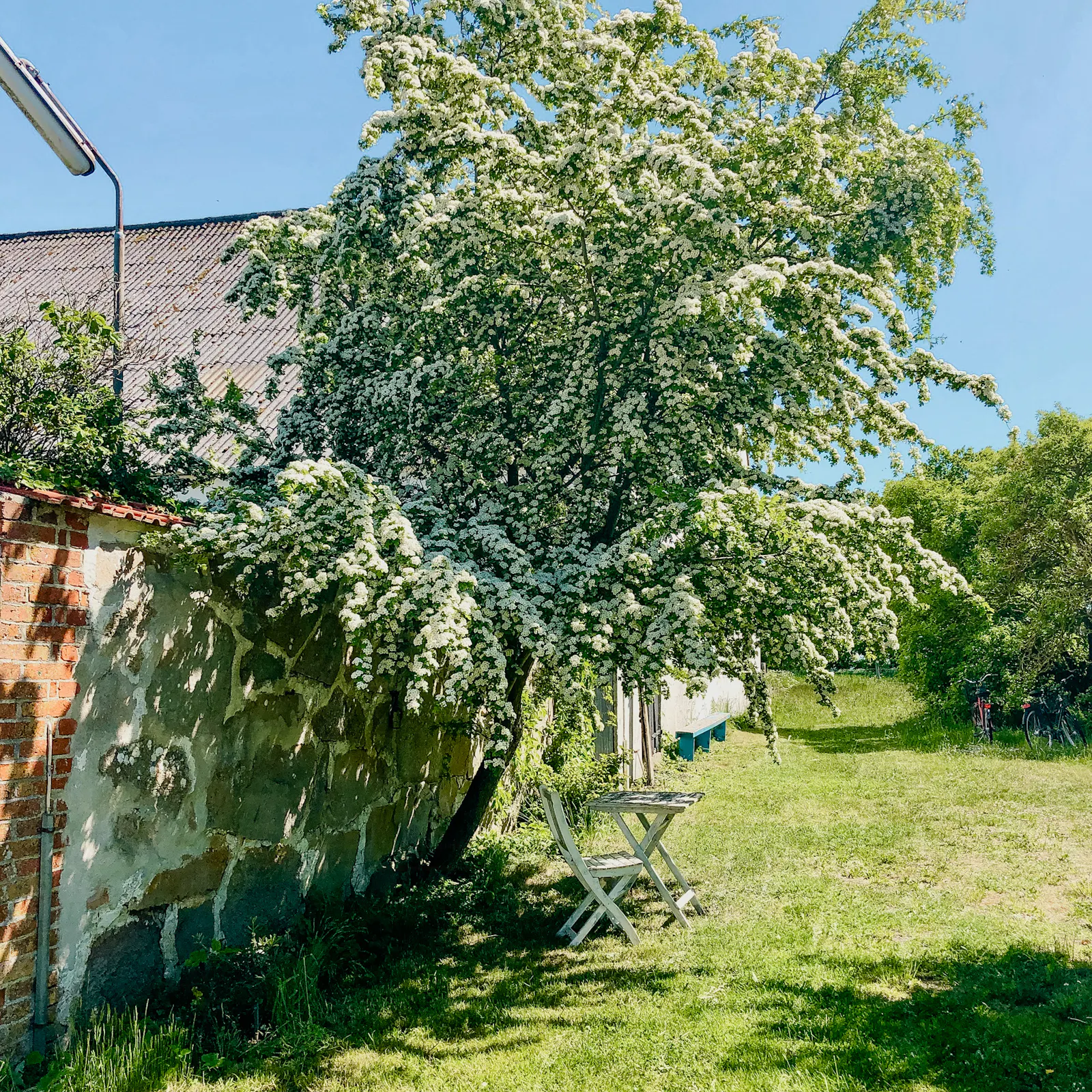Ljust gult hus med högt öppet tak – bild 15 av 15
