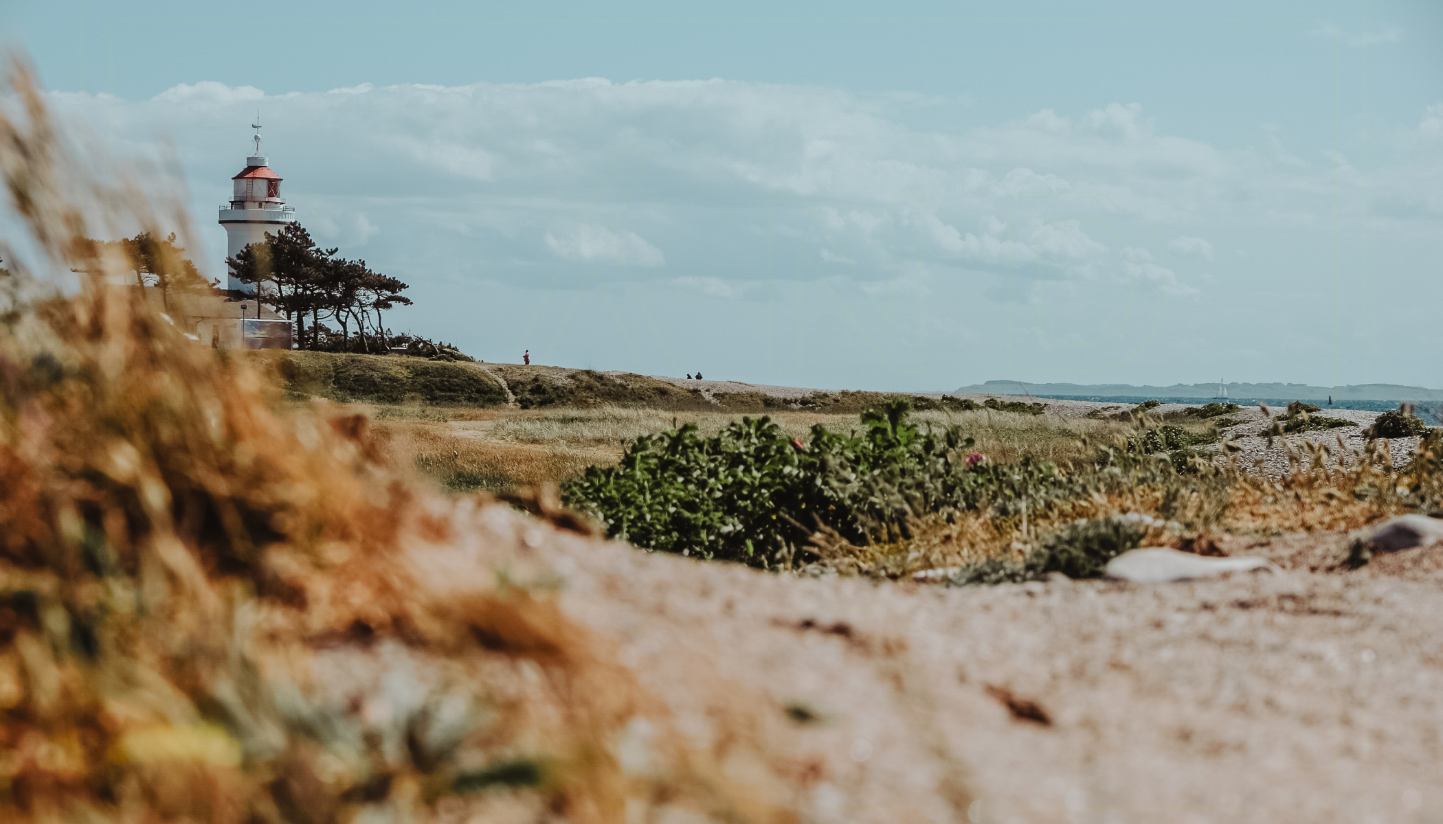 A trip to Denmark's picturesque peninsula: Where to eat, sleep and enjoy nature in Djursland