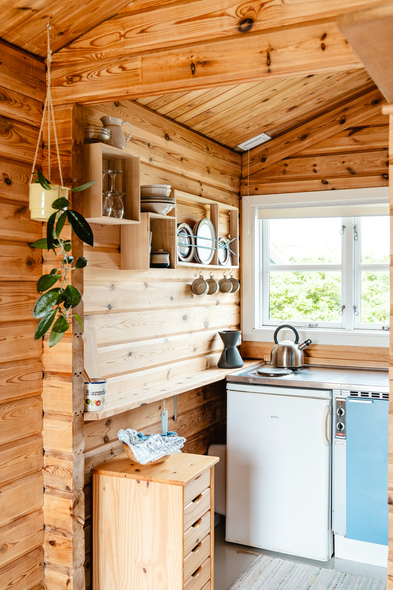 Una pequeña casa en el árbol en una gran comunidad, image size:2560x2560