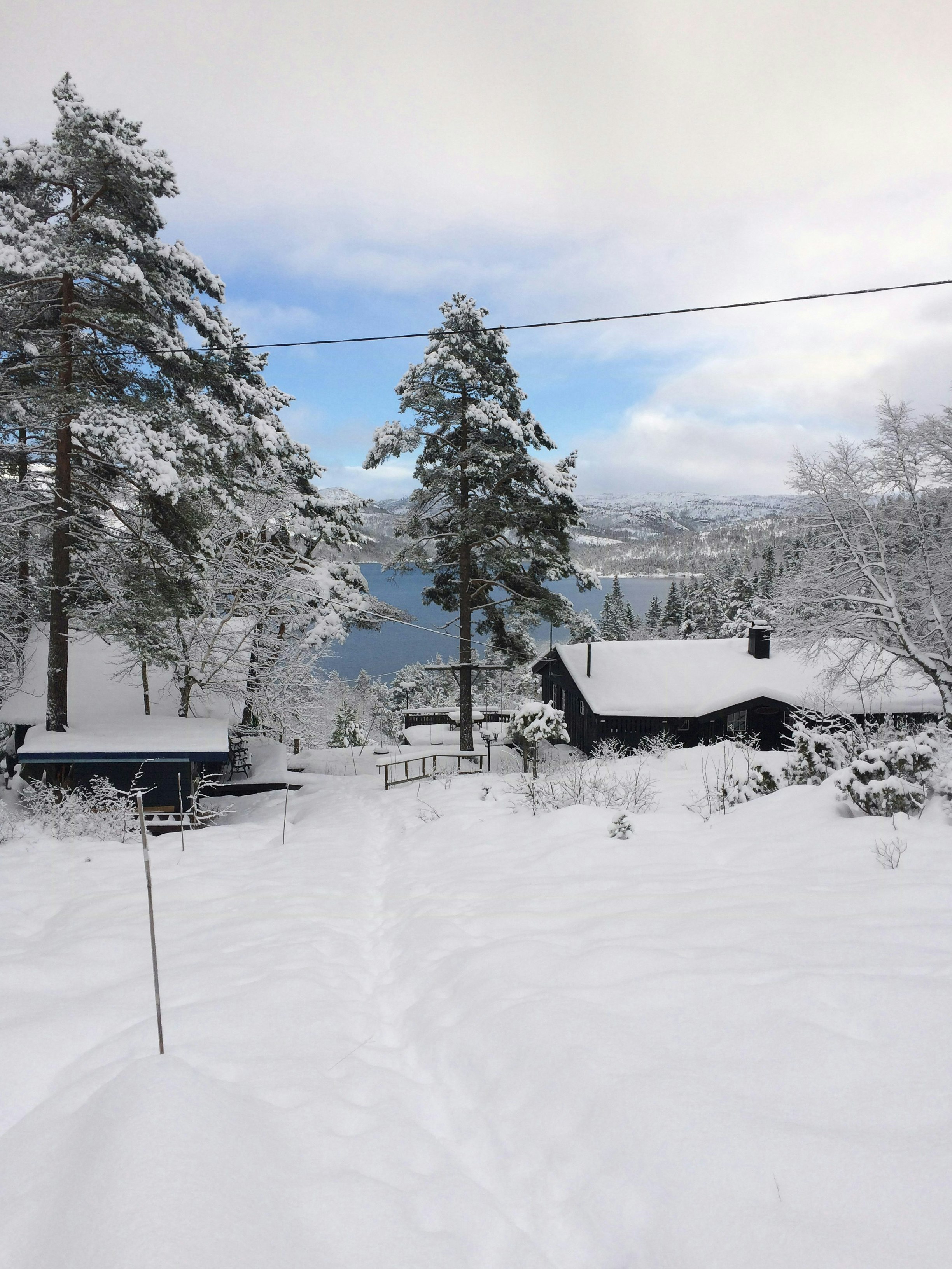 Bortelid cover image