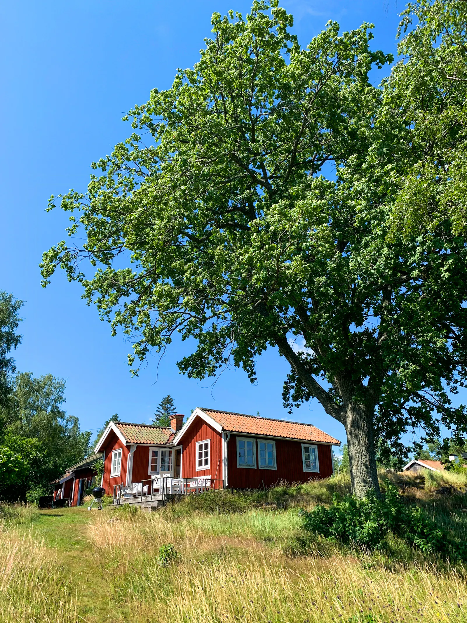 Skärgårdsgård med strand vid Tjocköfjärden – bild 21 av 24