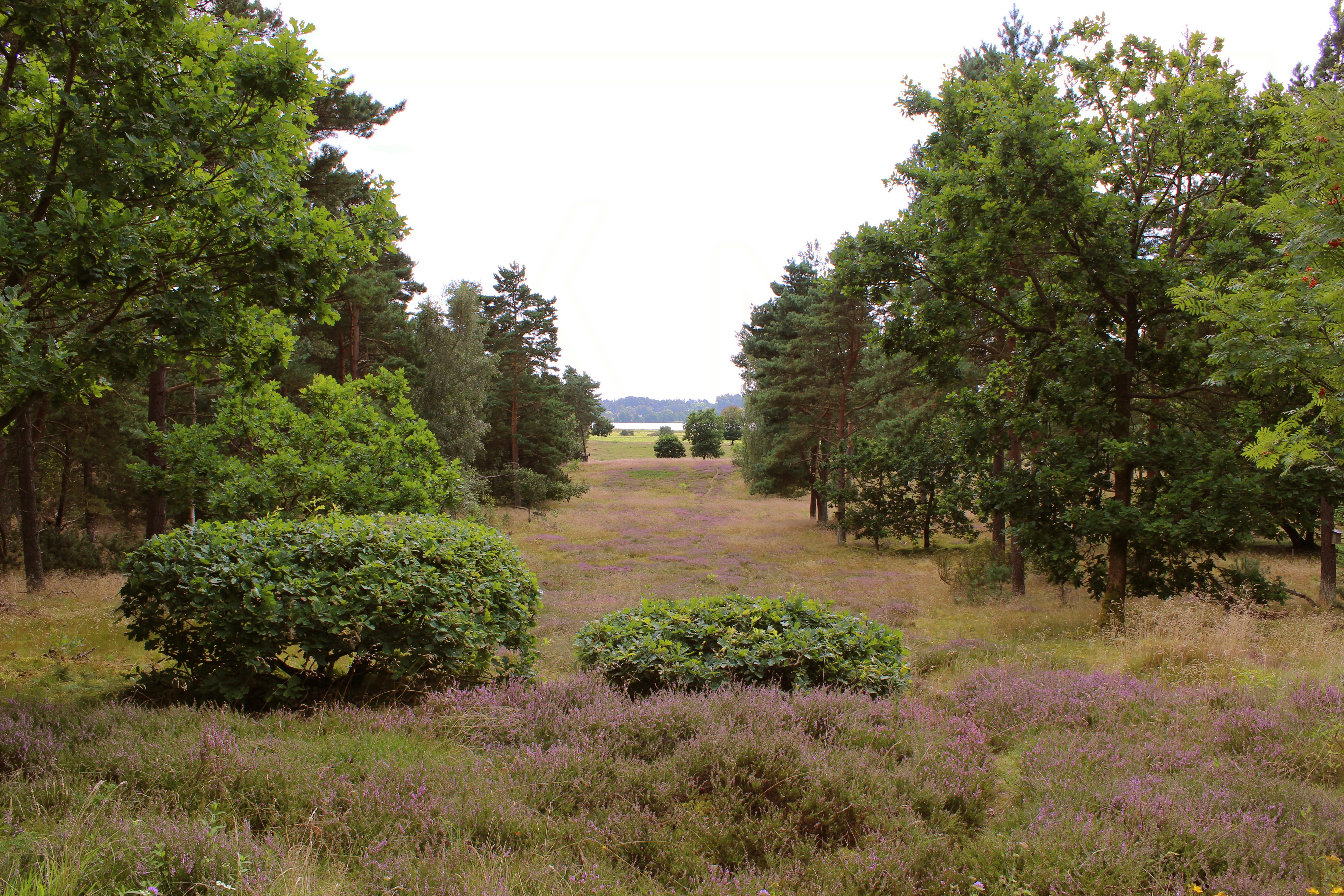 Ud i naturen: Udforsk Nationalpark Mols Bjerges særegne istidslandskab