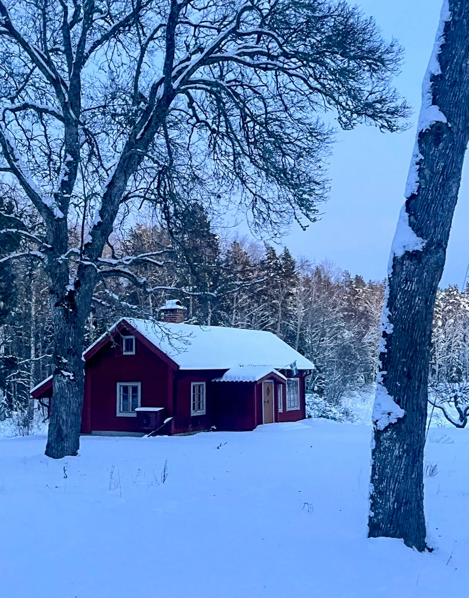 1800-talsstuga på Fogdö omgiven av skog och äng – bild 22 av 24