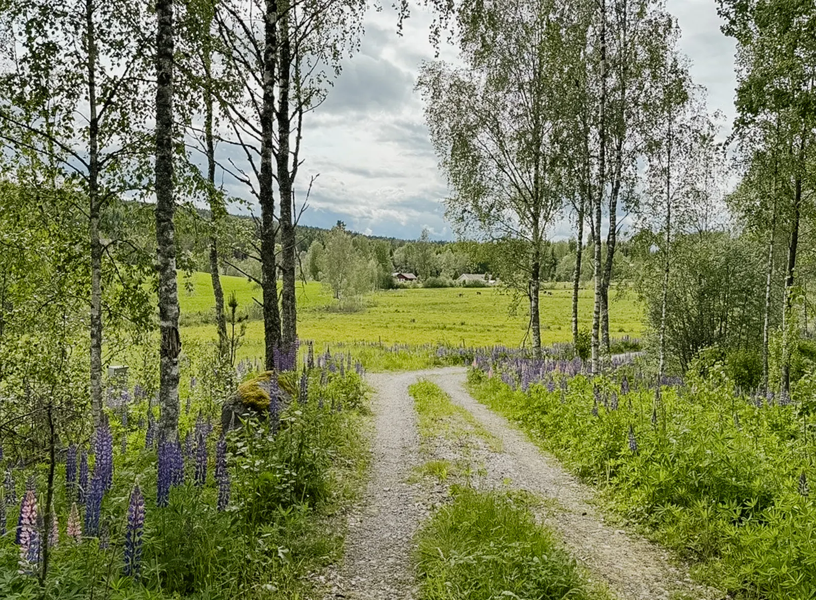 Tidlöst boende med naturen som granne – bild 9 av 11