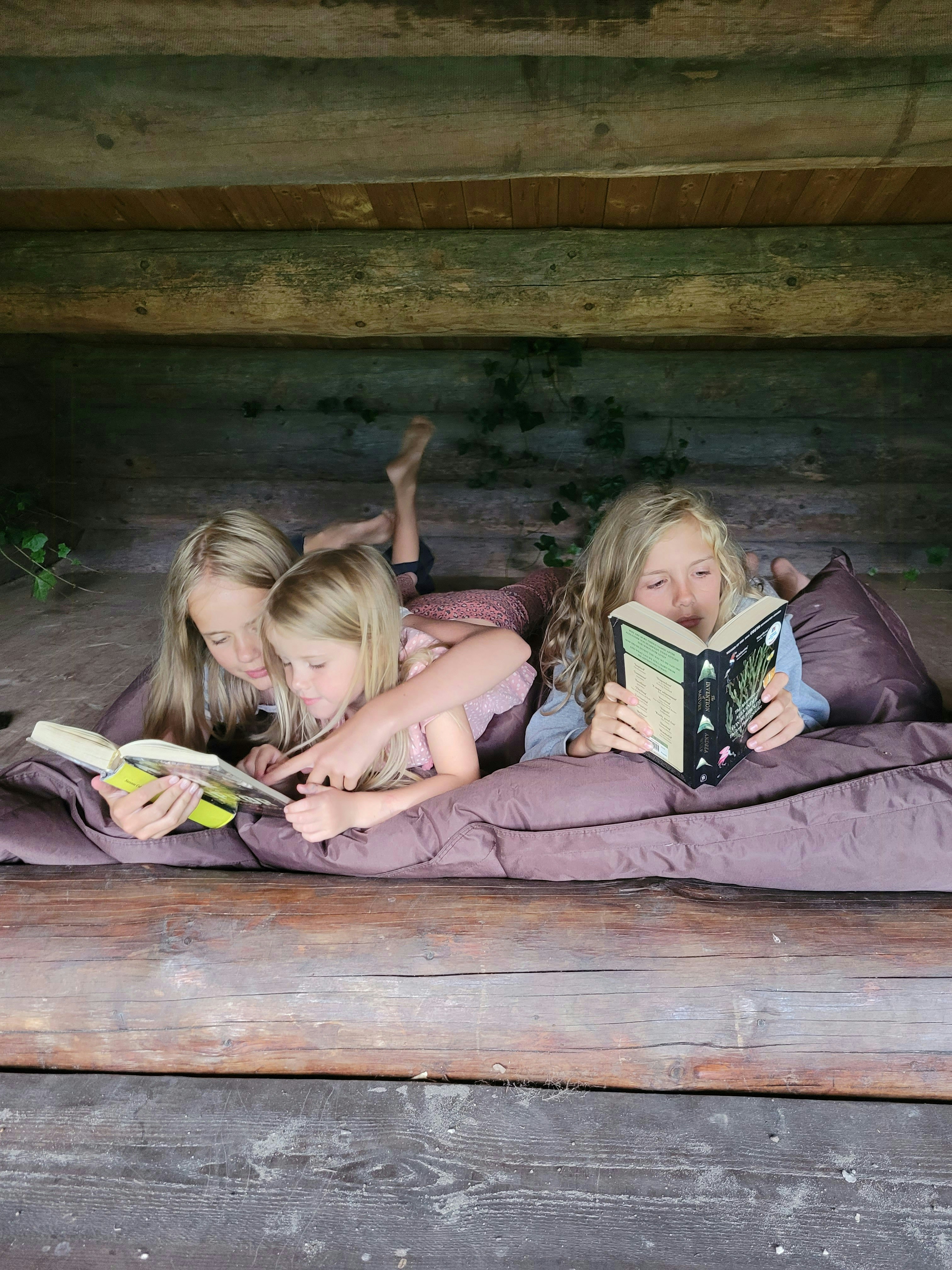 Sommerferiepostkort fra Ebeltoft cover image