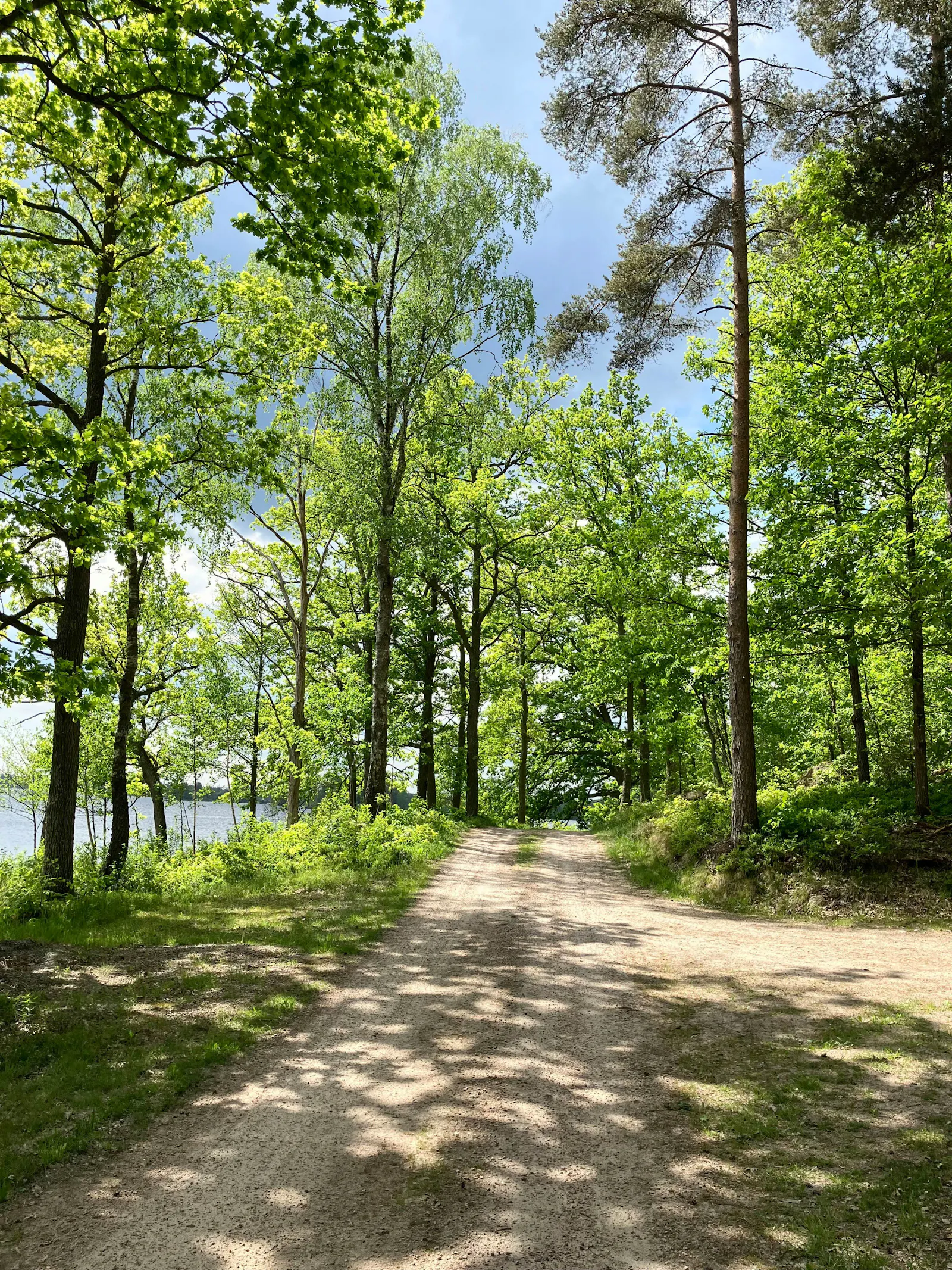 Traditionellt svenskt hus i skogens djup – bild 4 av 24