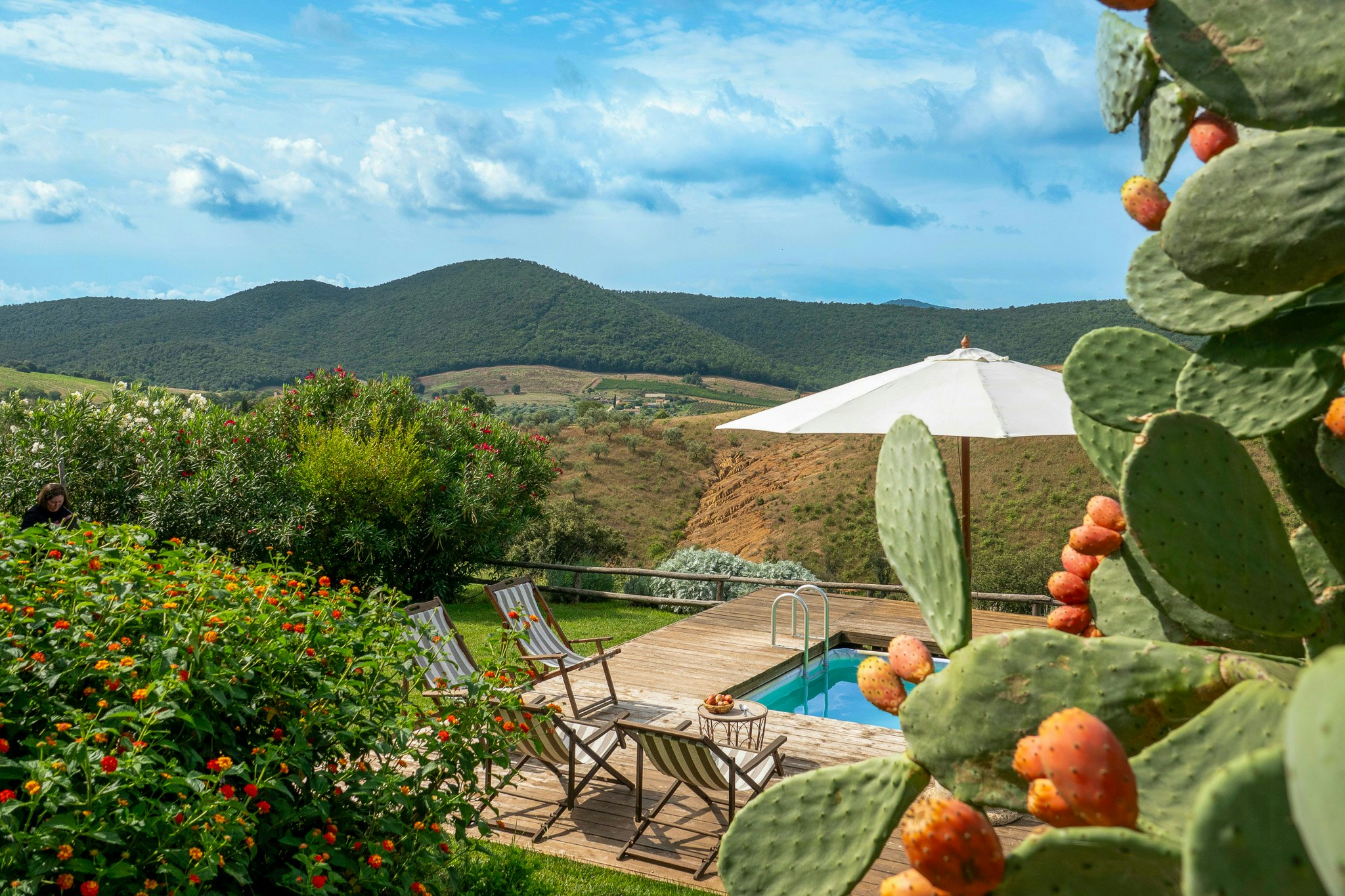 Magliano in Toscana cover image