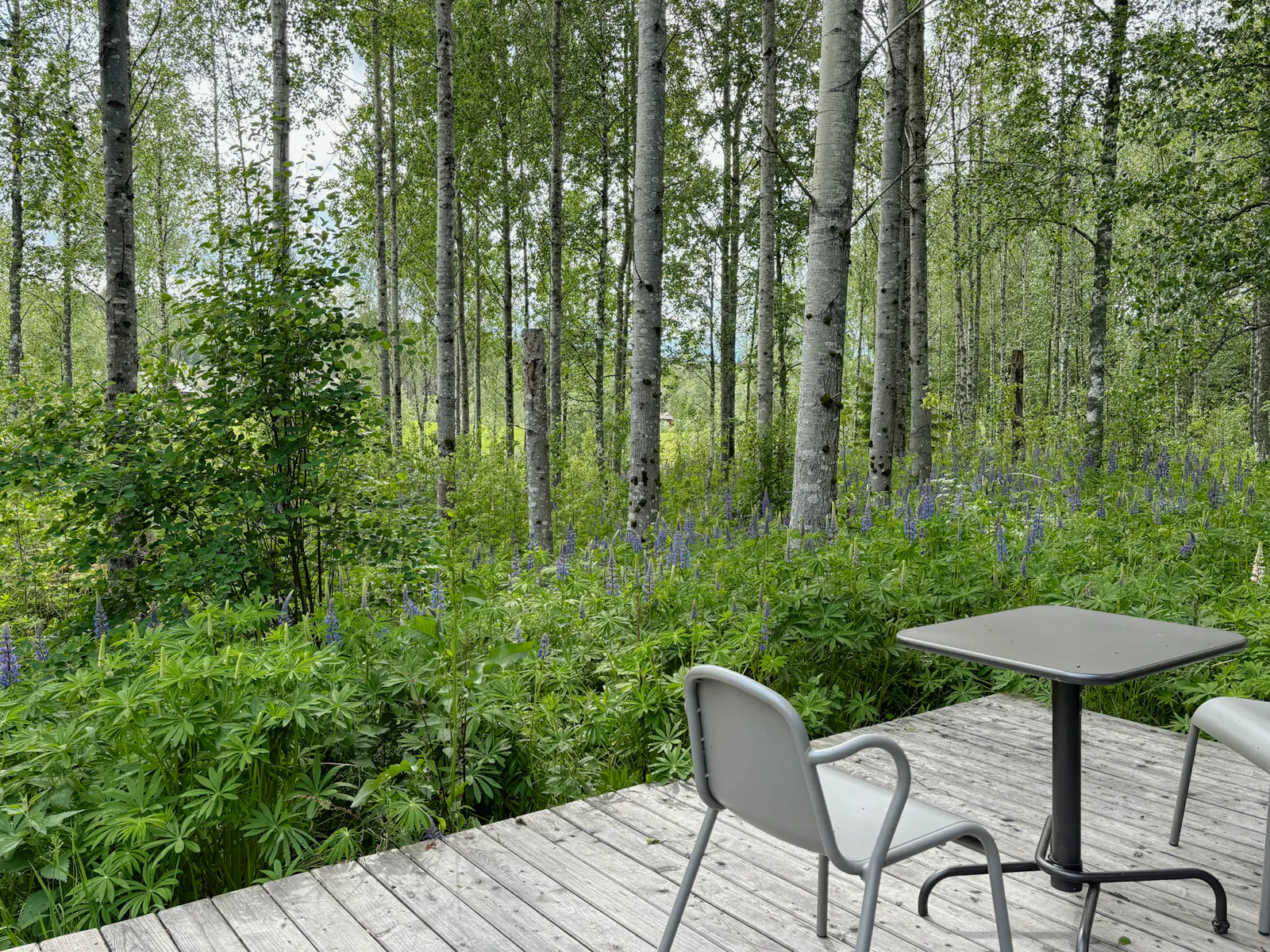 Tidlöst boende med naturen som granne – bild 4 av 11