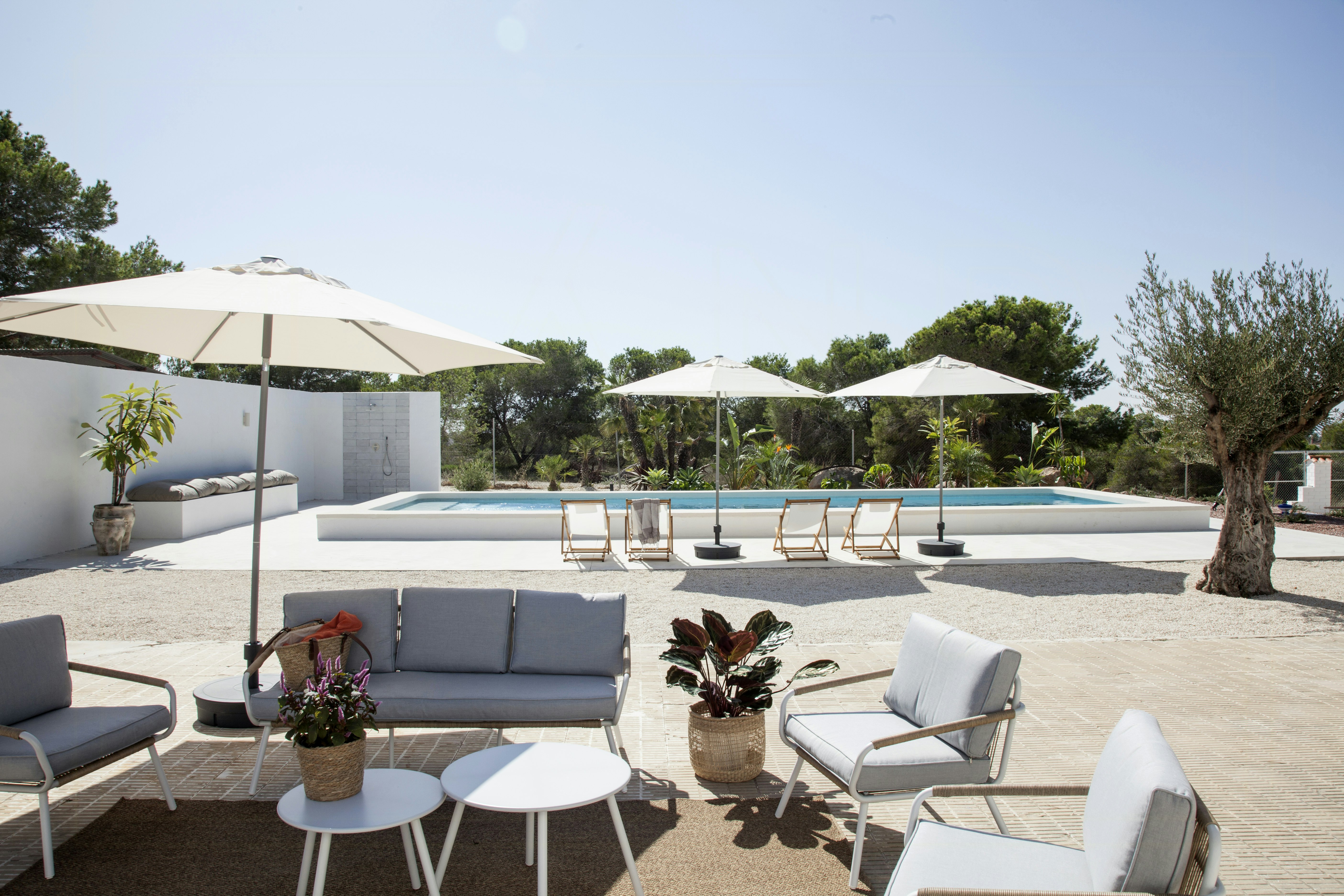 el Baix Vinalopó cover image