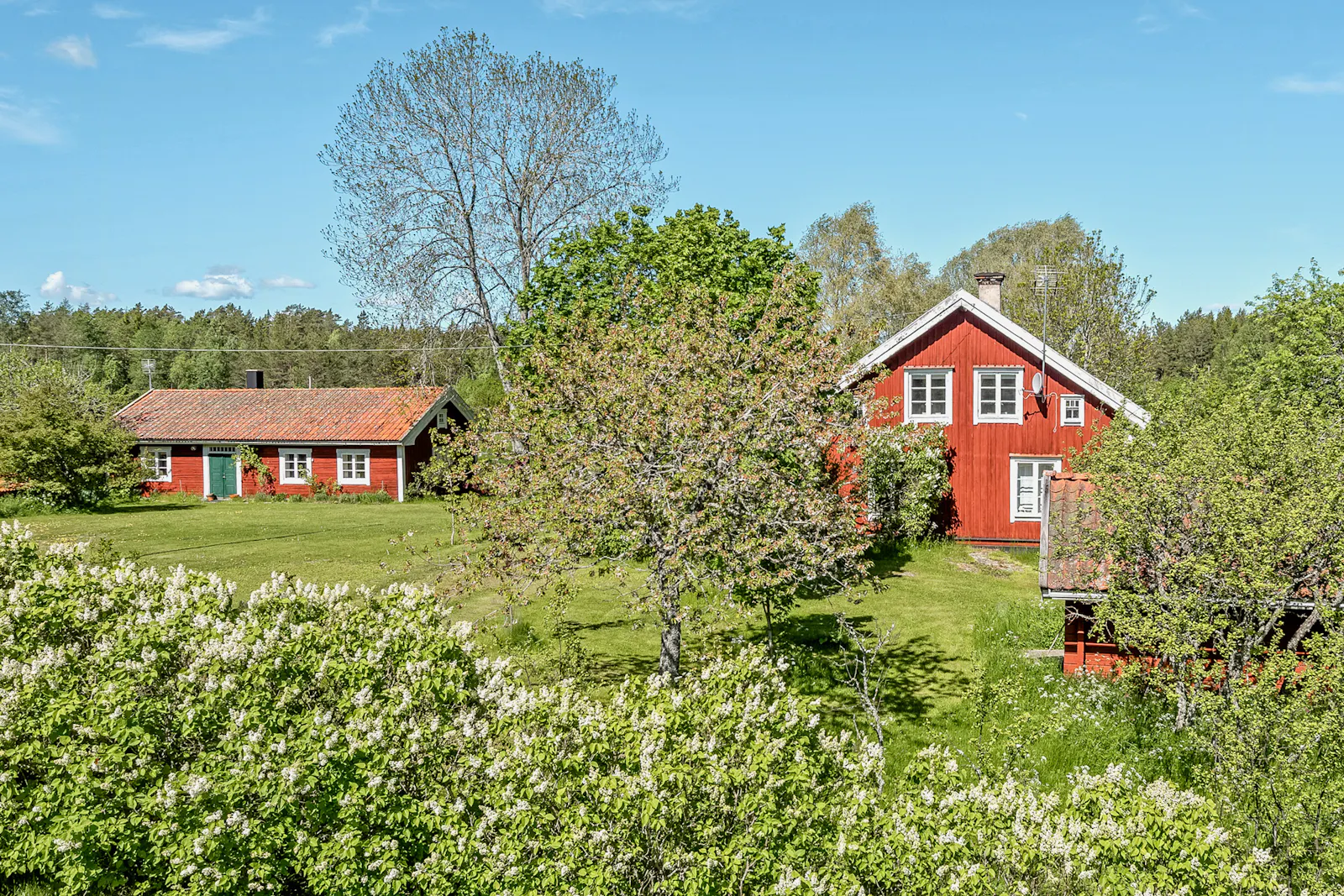 Timmerhus från 1800-talet på stor lantlig tomt – bild 11 av 17