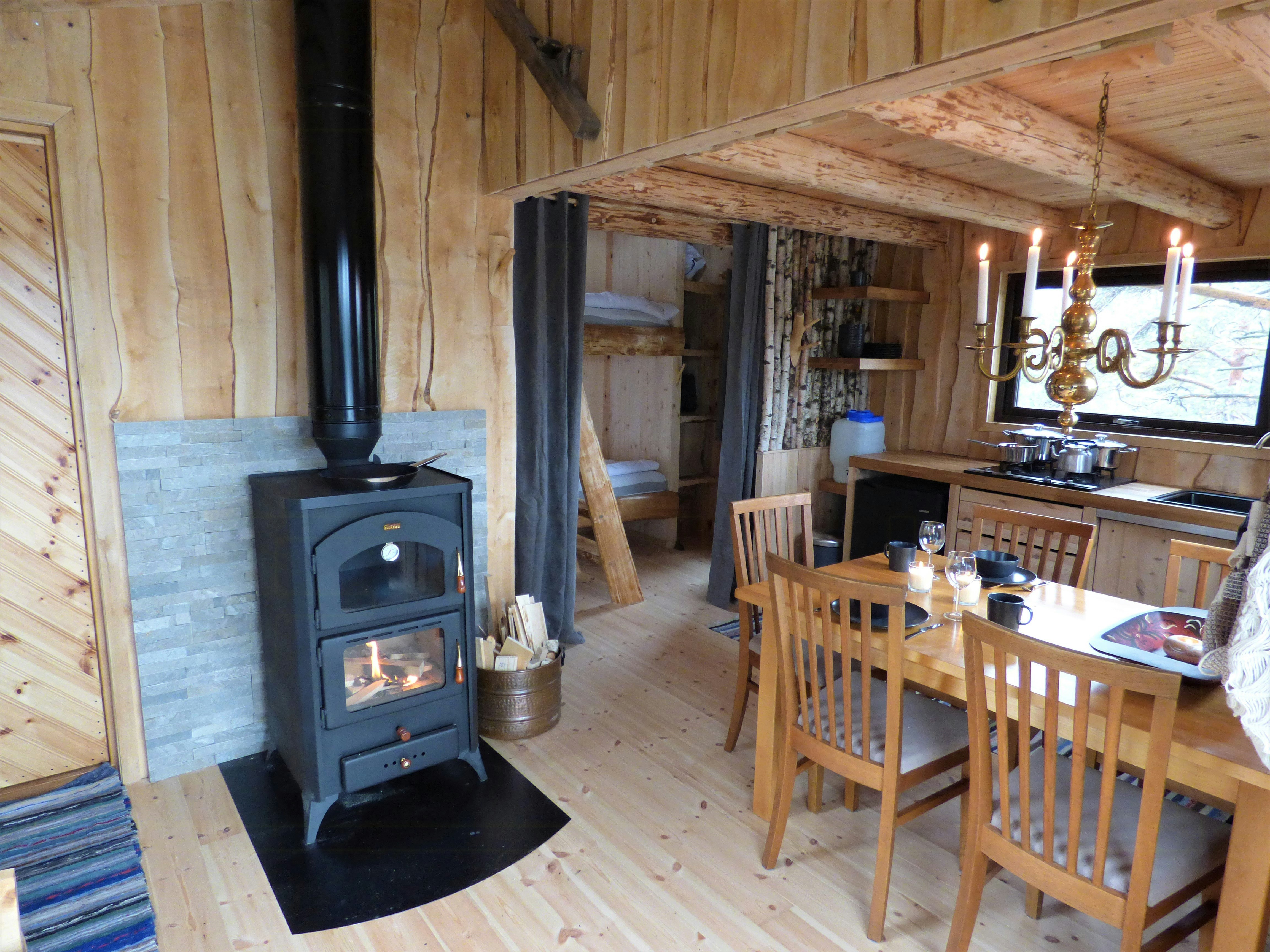 🔥 Vergleich zweier Unterarten des Koalas: des Südlichen Koalas (links) und  des Nördlichen Koalas (rechts) : r/NatureIsFuckingLit, image size:2560x2560