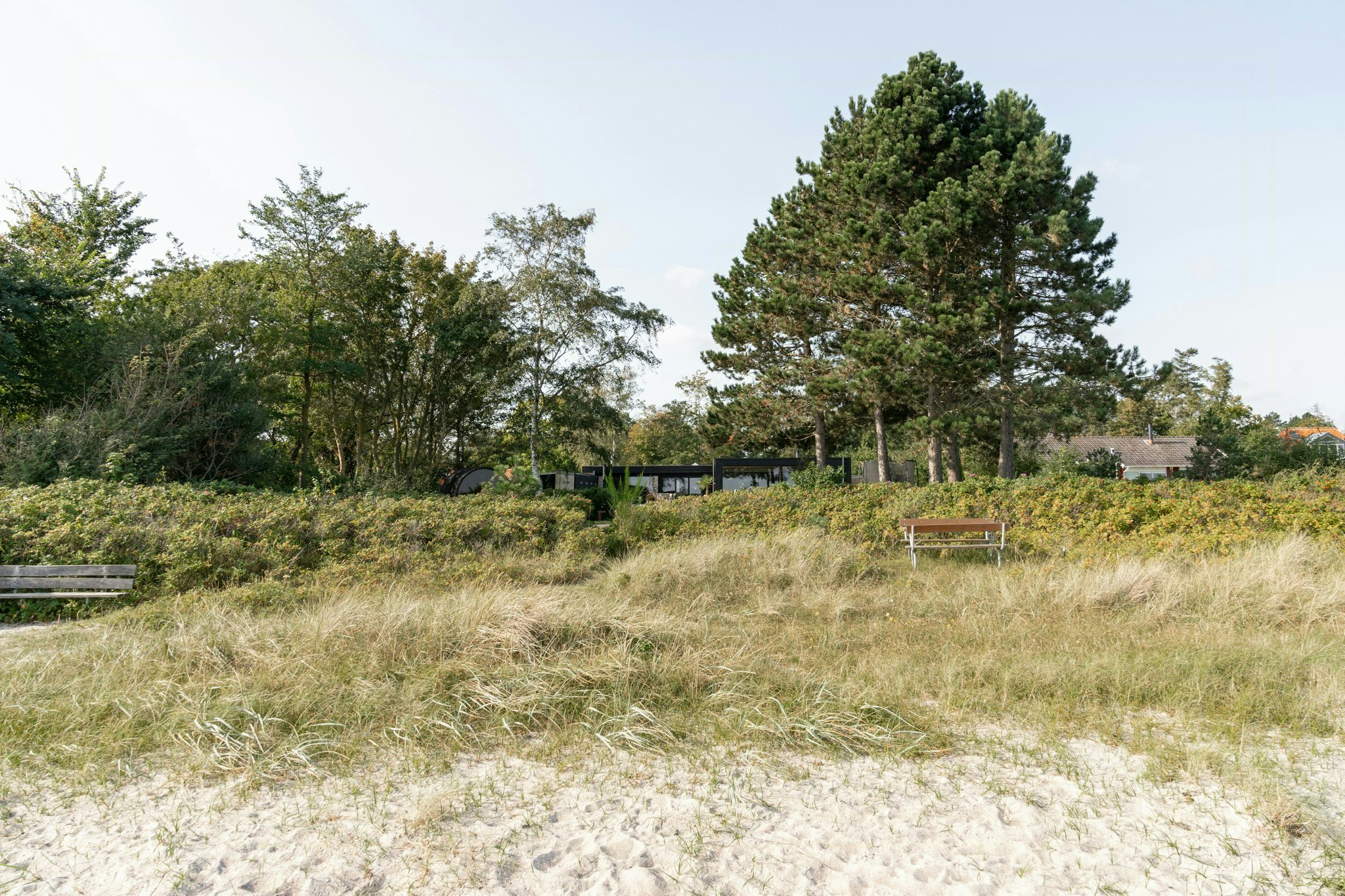 Landfolk rekommenderar: De bästa stränderna att besöka i sommar 