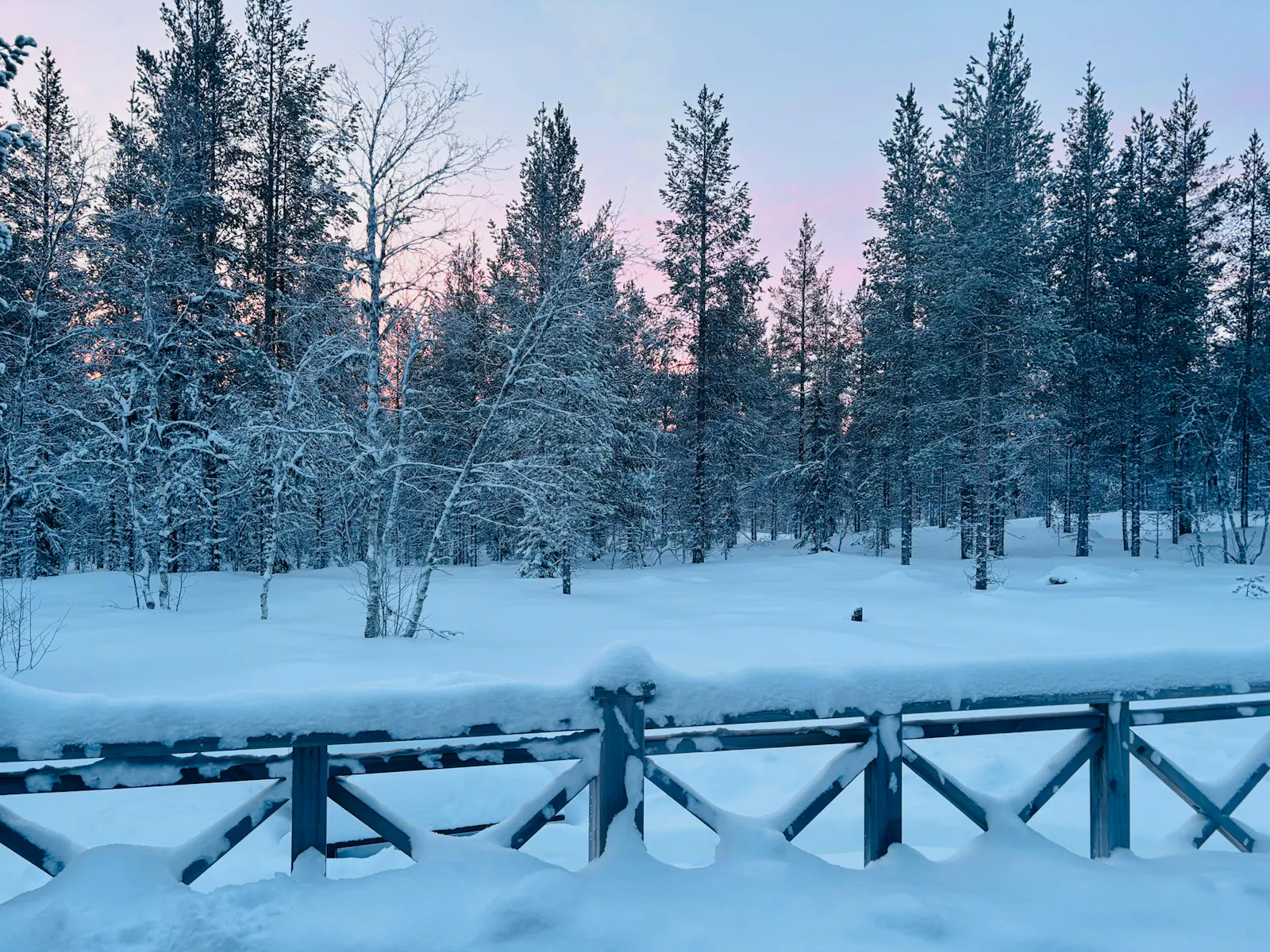 Rymlig fjällstuga bland fjällbjörkar i Vemdalen – bild 23 av 24