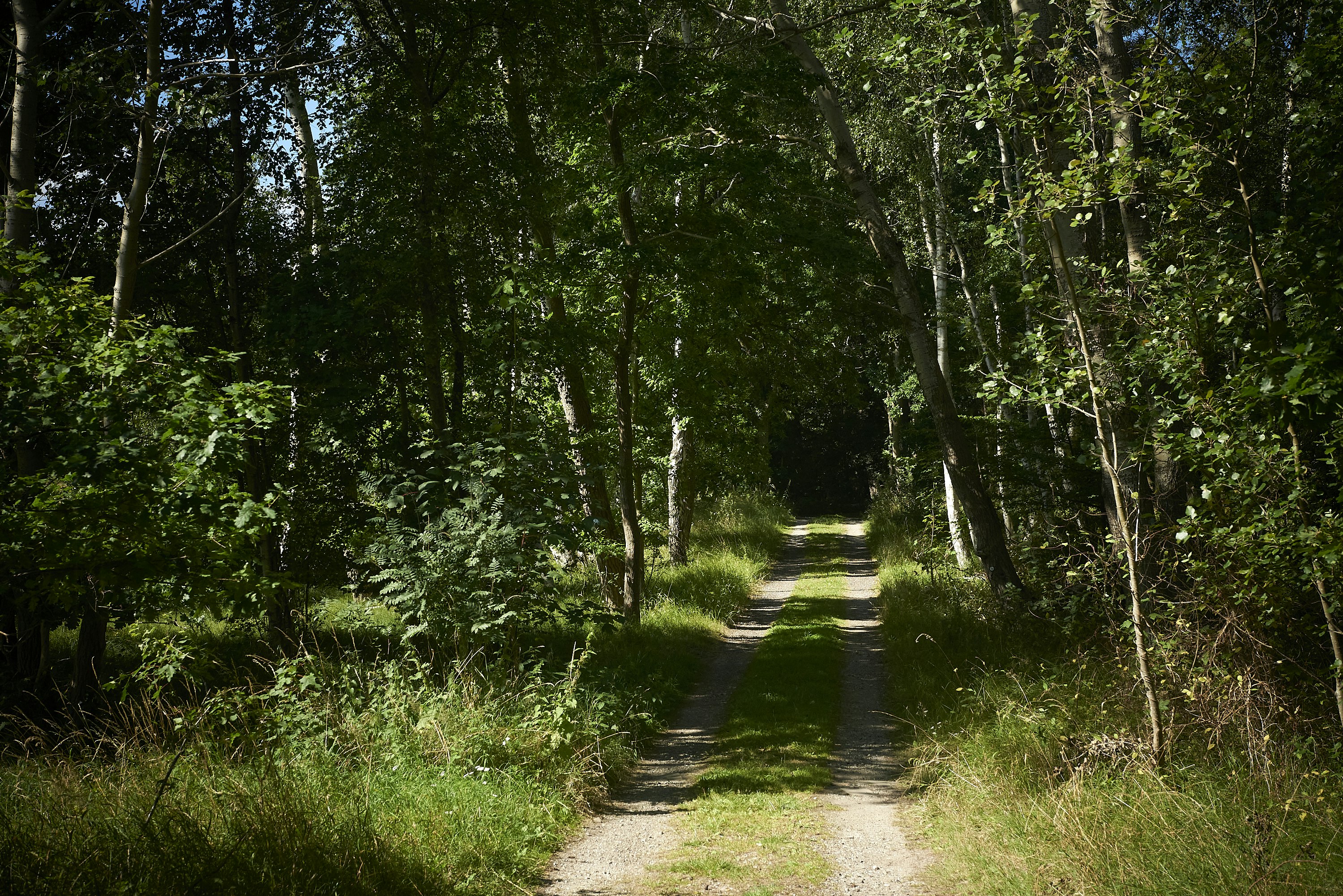 Vestsjælland cover image