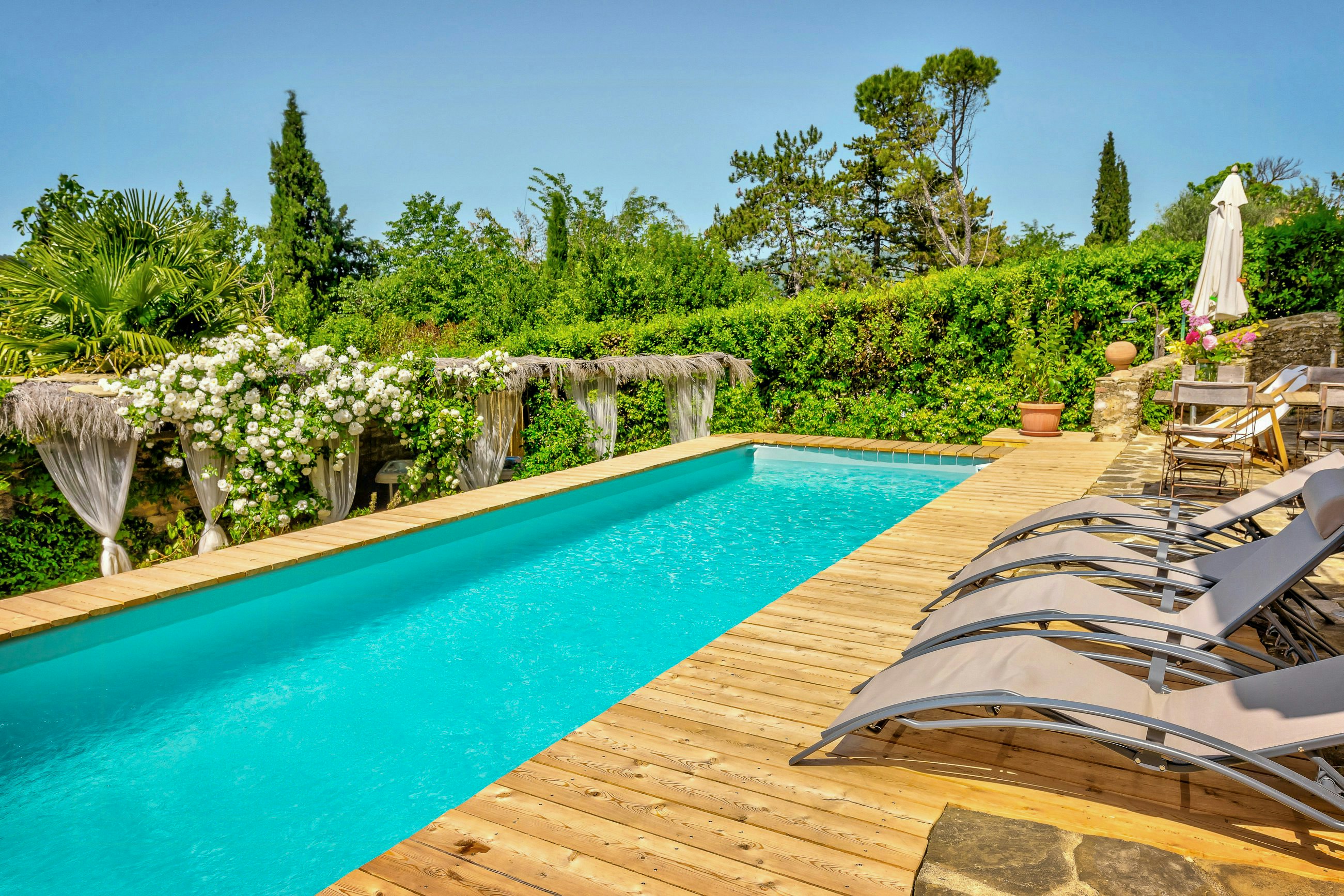 Capolona cover image