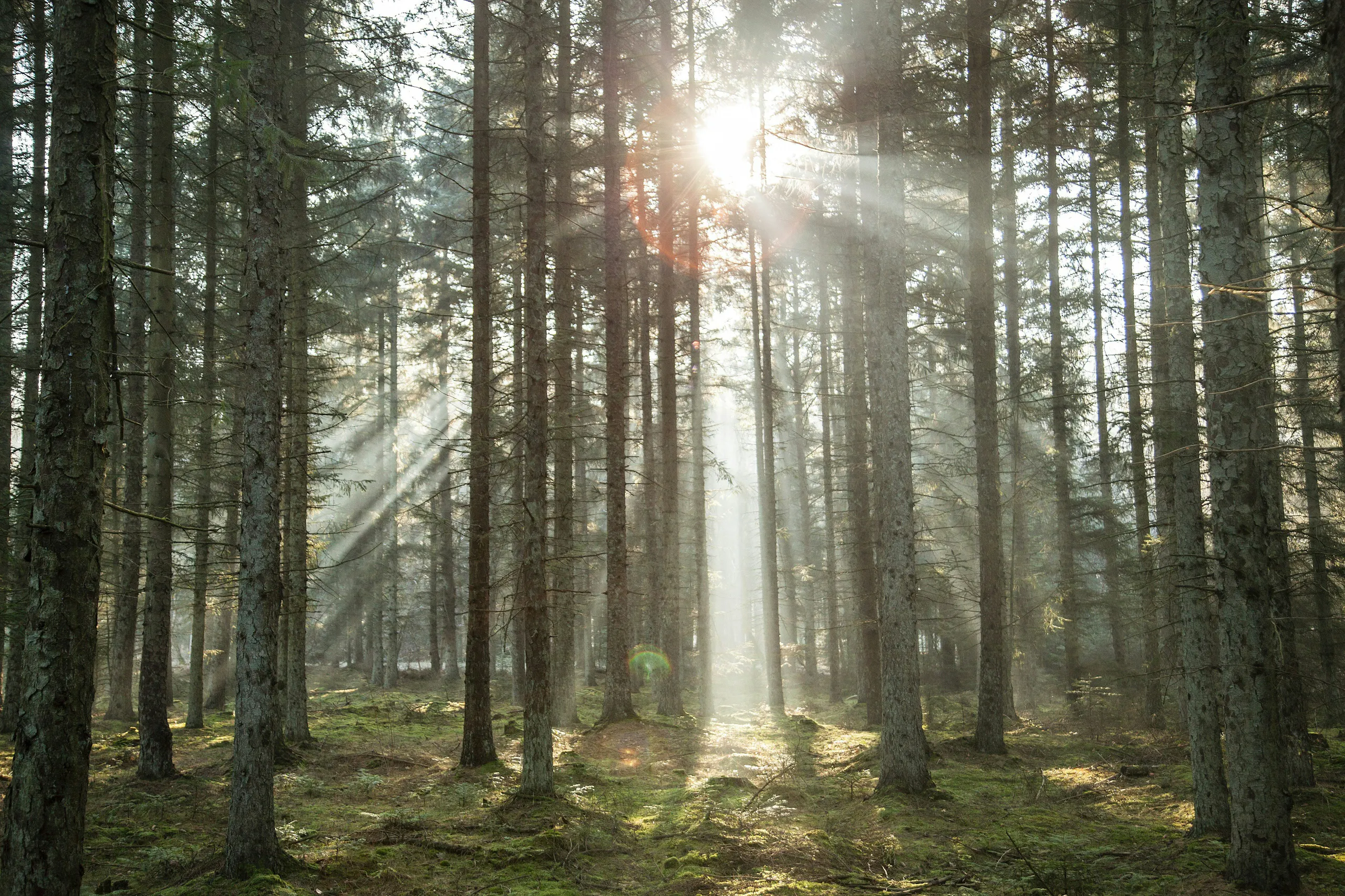 Vandreruter i naturskønne omgivelser