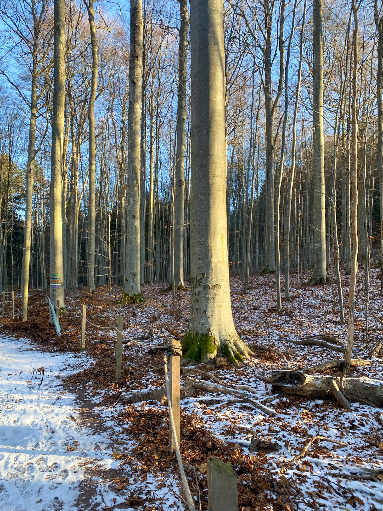 Litet hus bland äppelträd nära Vättern – bild 19 av 19