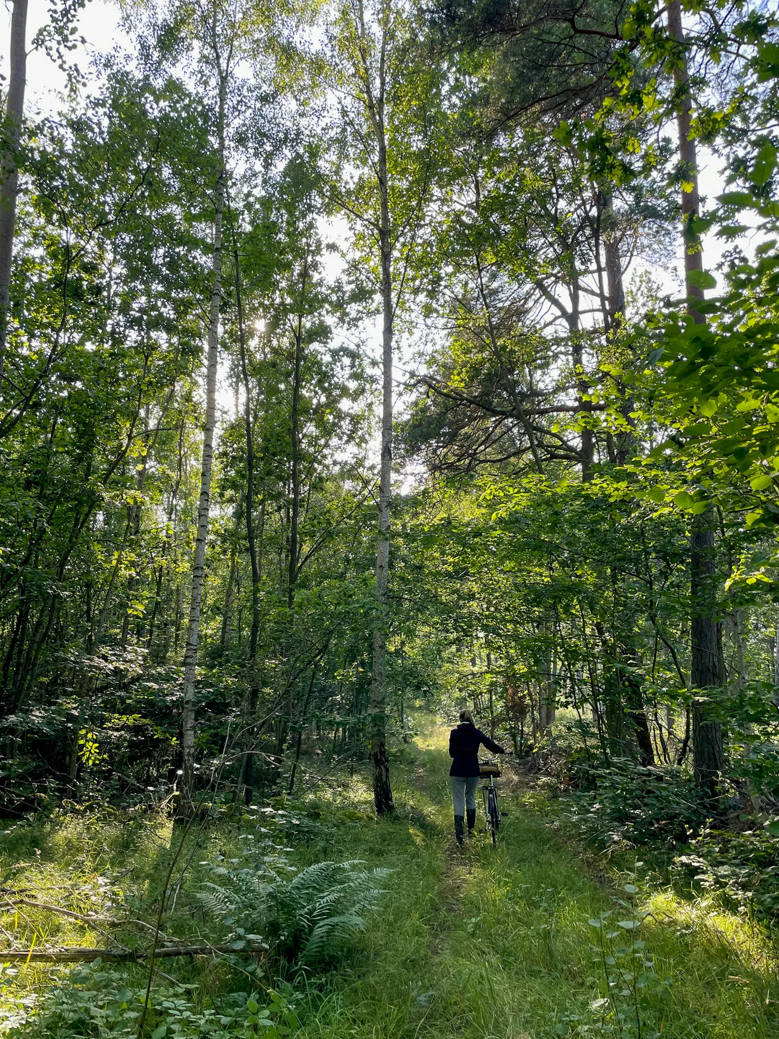 Nybyggt trähus på Öland med panoramafönster – bild 19 av 23