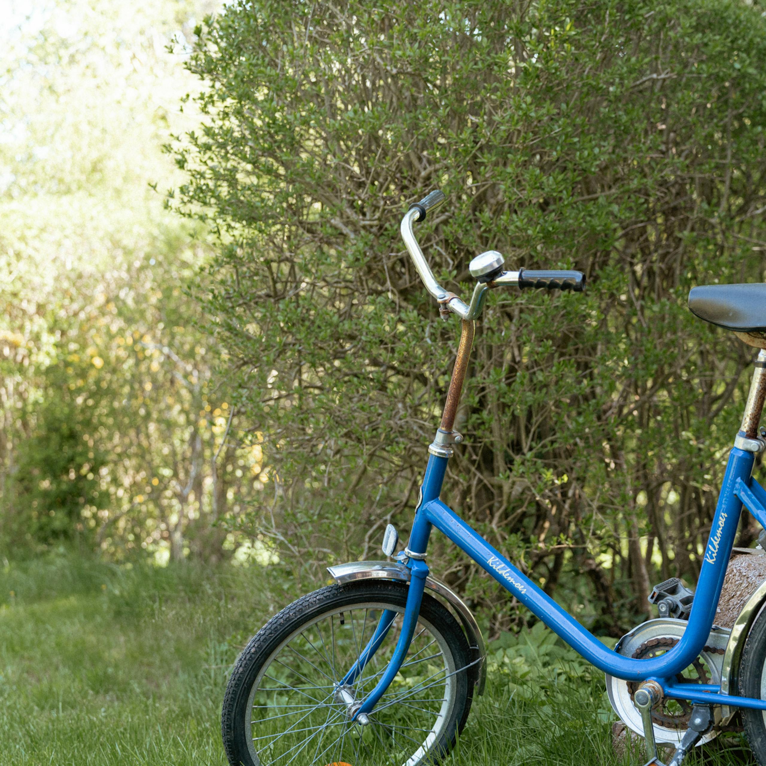 Hop på cyklen: 4 naturskønne cykelruter på Djursland