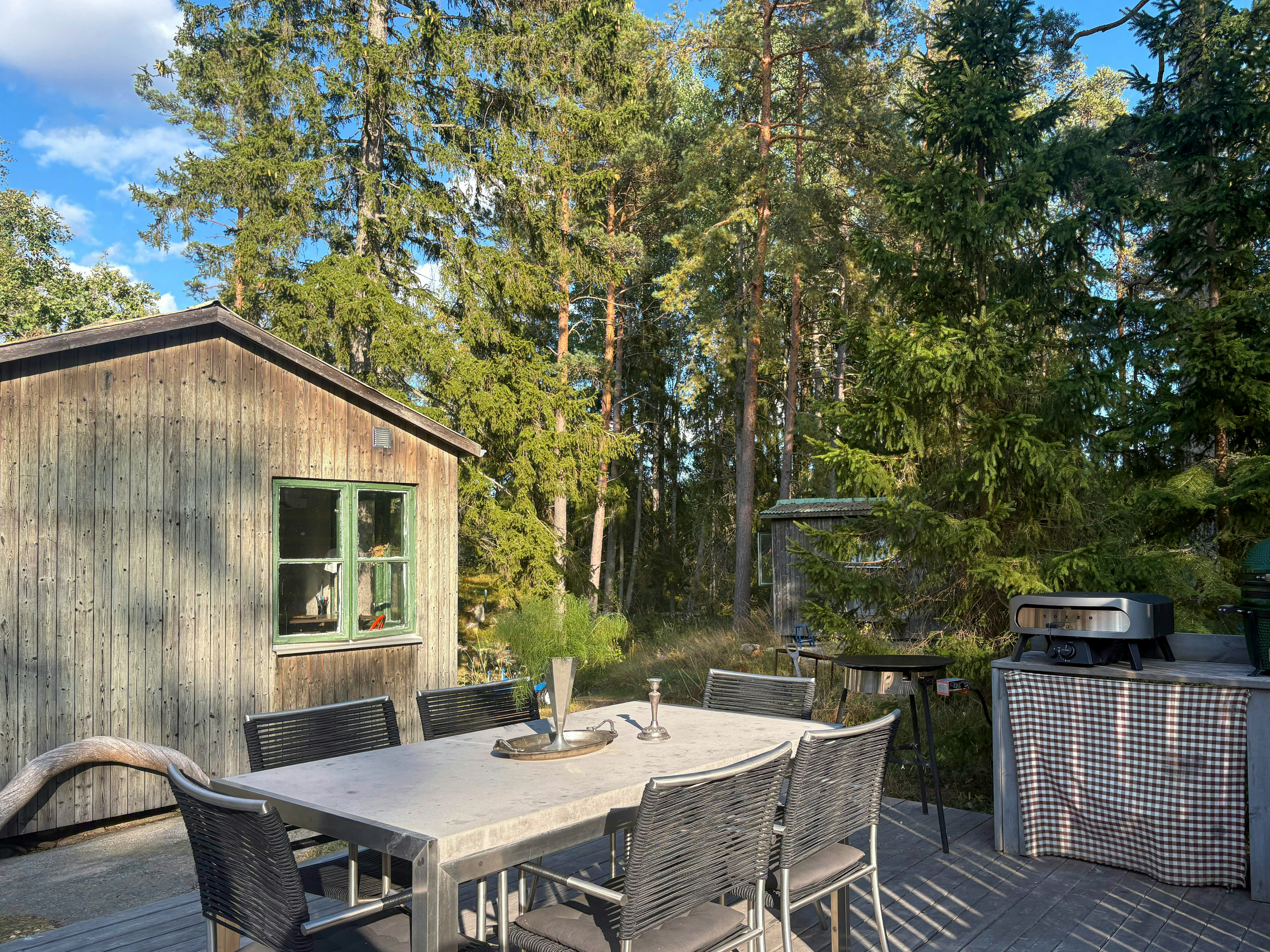 Mysig stuga omgiven av skog och natur
