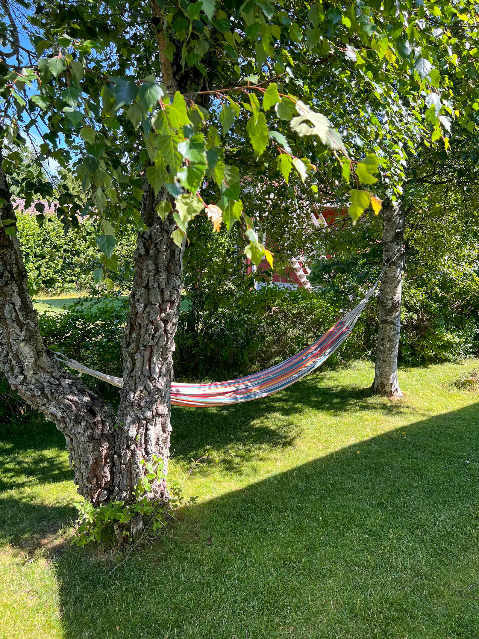 Stuga i lungt område nära havet – bild 21 av 24