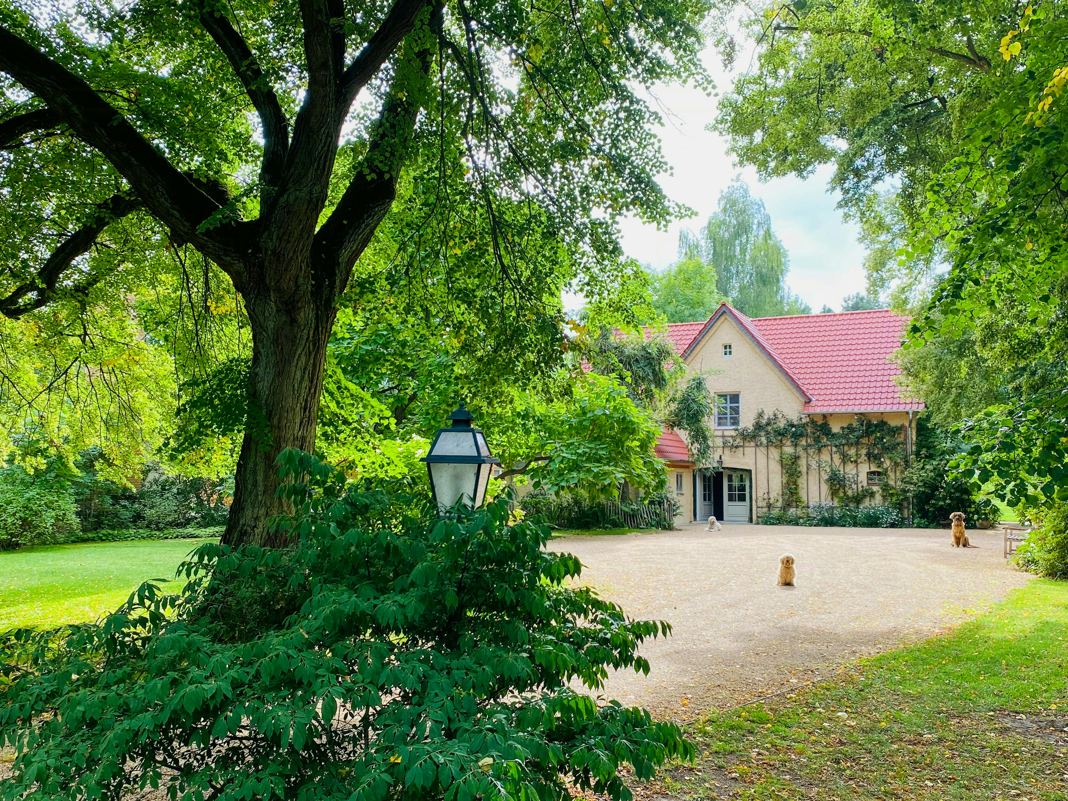 Casas de vacaciones en Spreewald con perros permitidos cover image