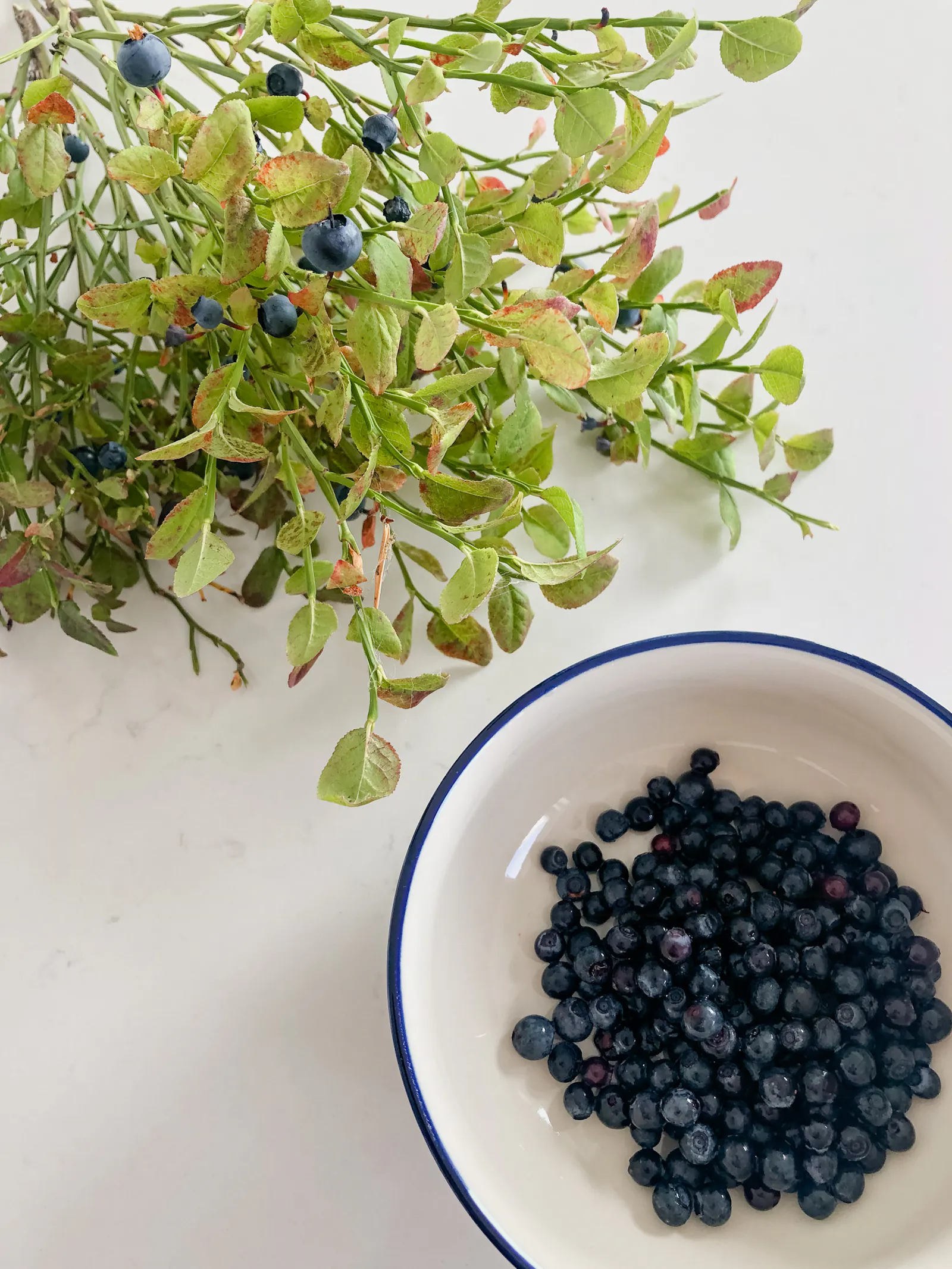 Stuga med havsutsikt och altan nära naturen – bild 23 av 24