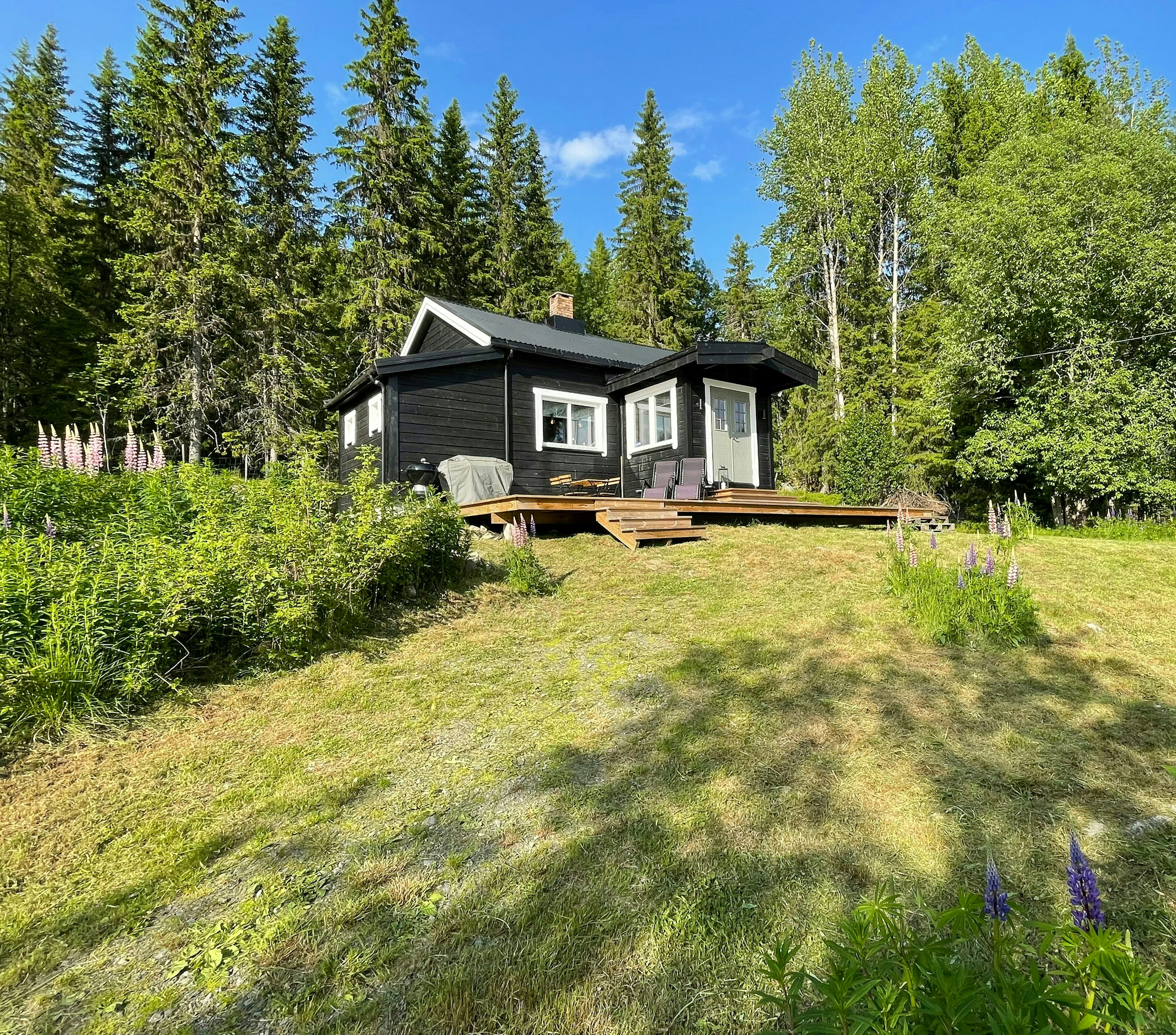 Weihnachtsferien und Silvester in Trysil cover image