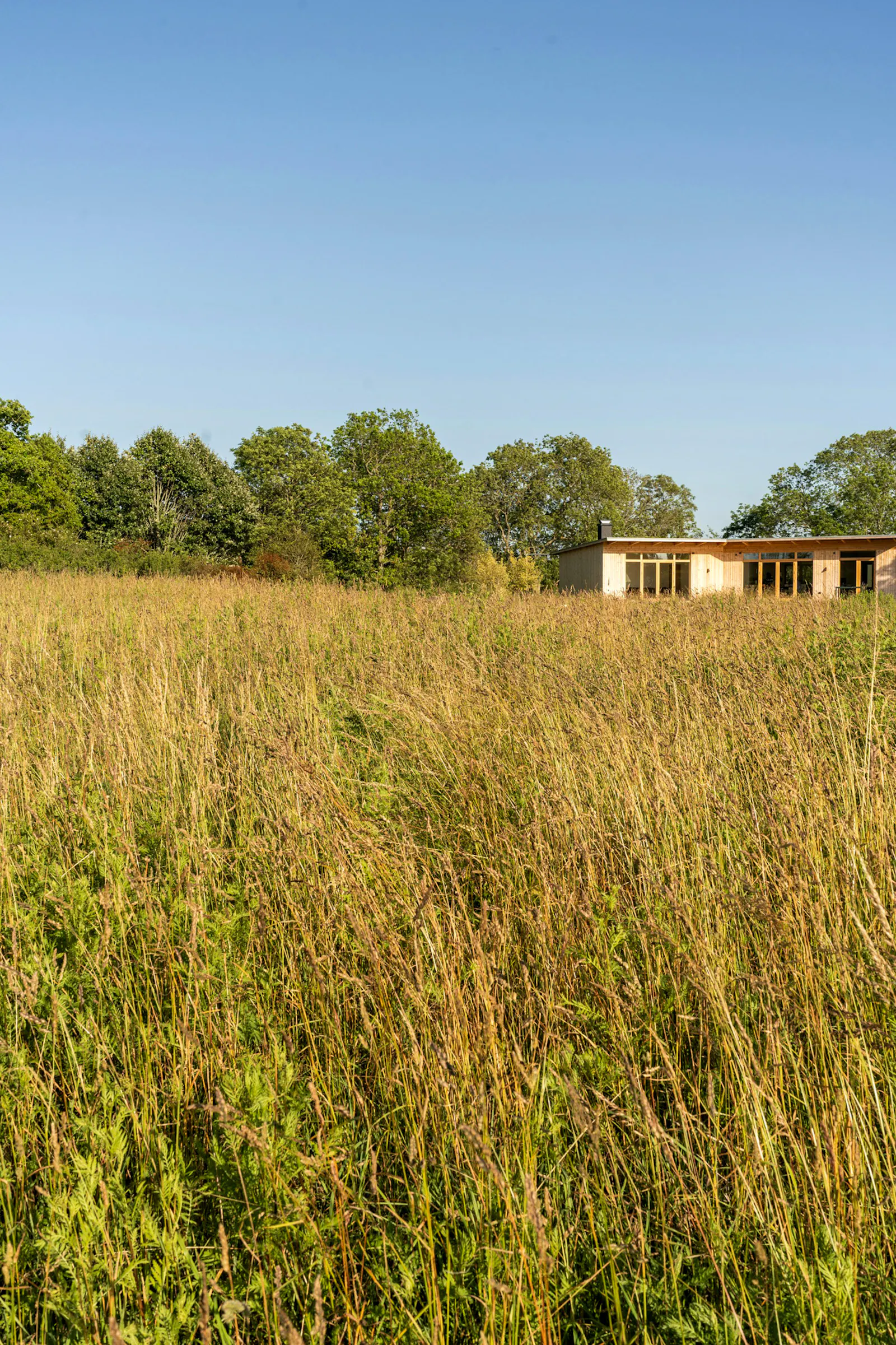 Arkitektritat hus på äng i Torekov – bild 23 av 24