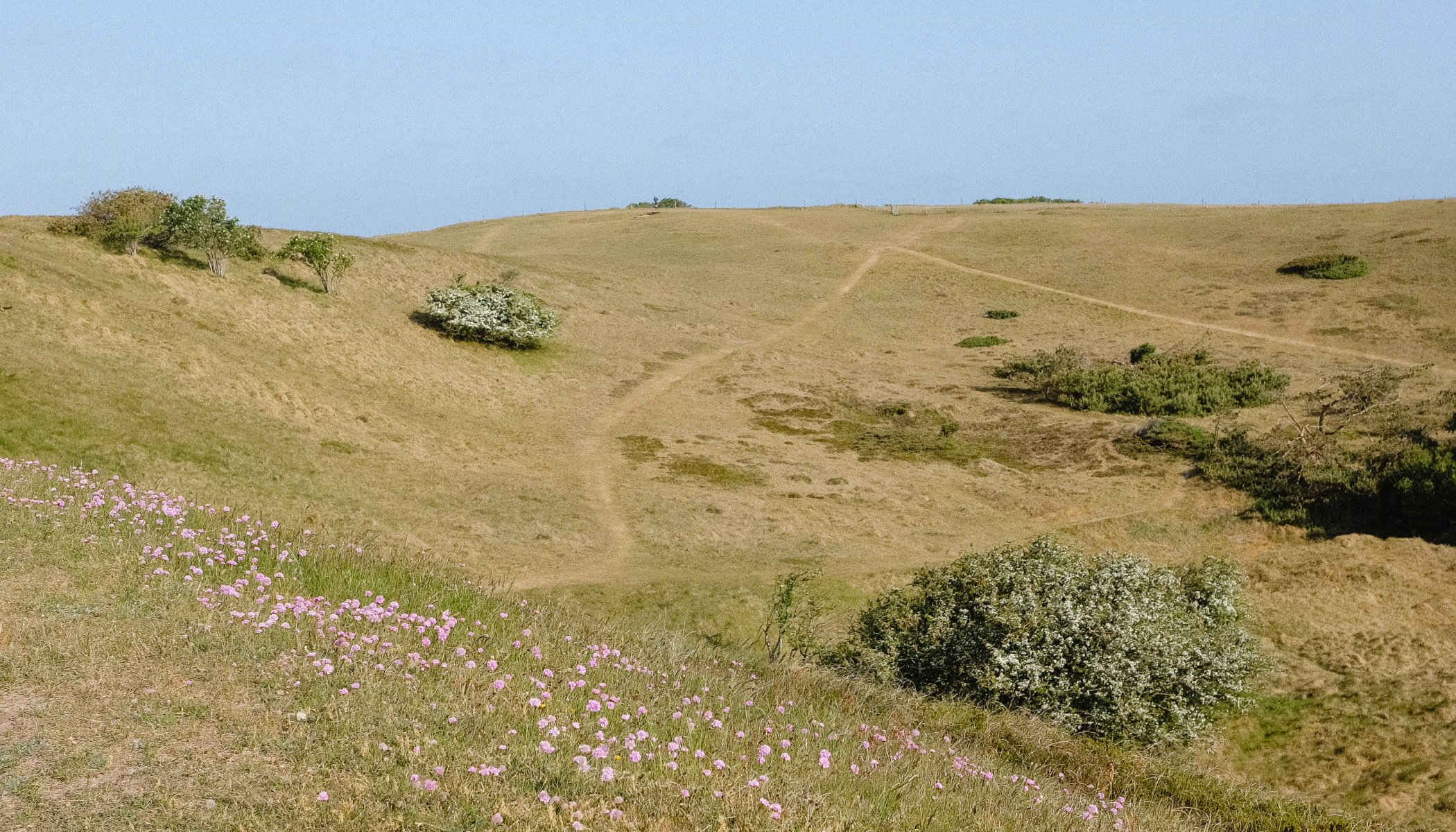 Andrea Theodoras familiesommerferie i Nordsjælland: “Det første vi kigger efter, er hvor vi skal bo og den gode madoplevelse”