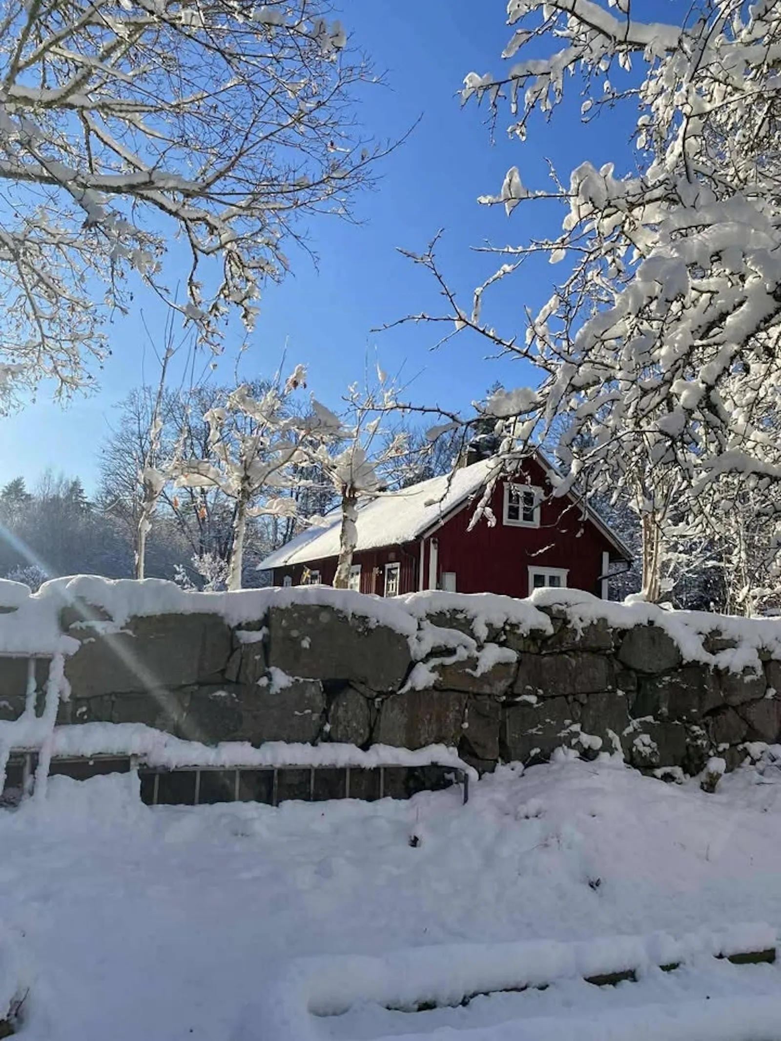 Traditionellt svenskt hus i skogens djup – bild 20 av 24