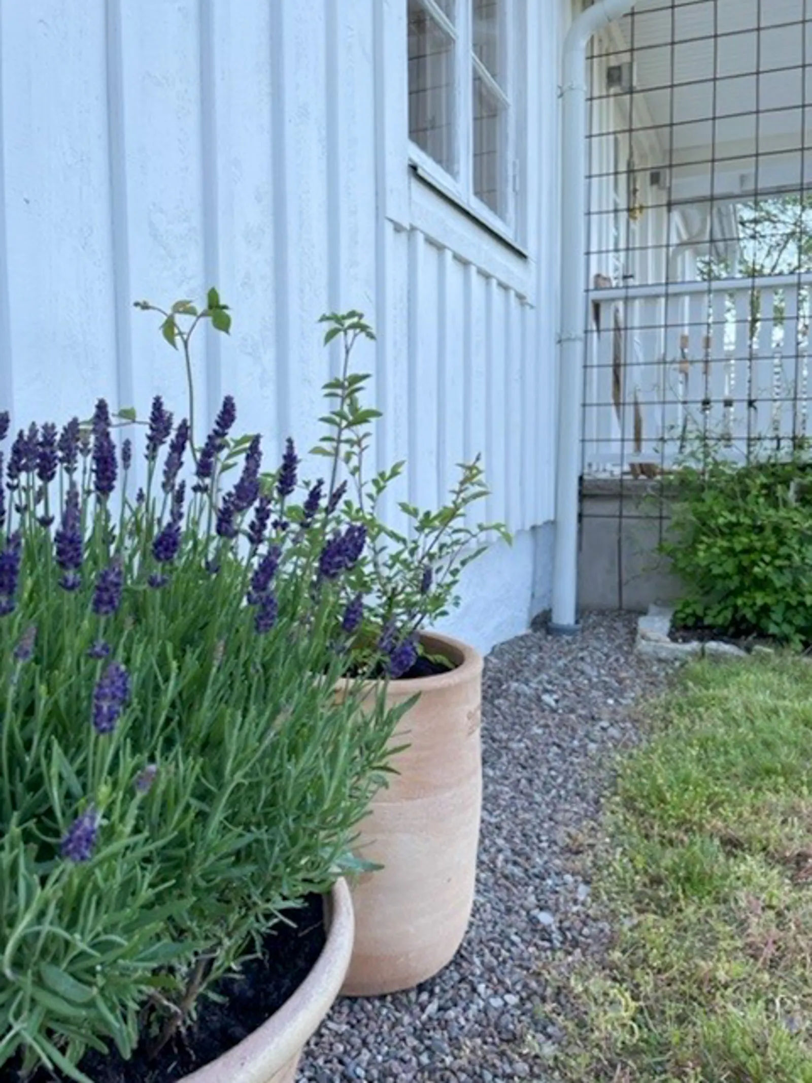 Lantlig familjehus nära Borgholm på Öland – bild 17 av 24