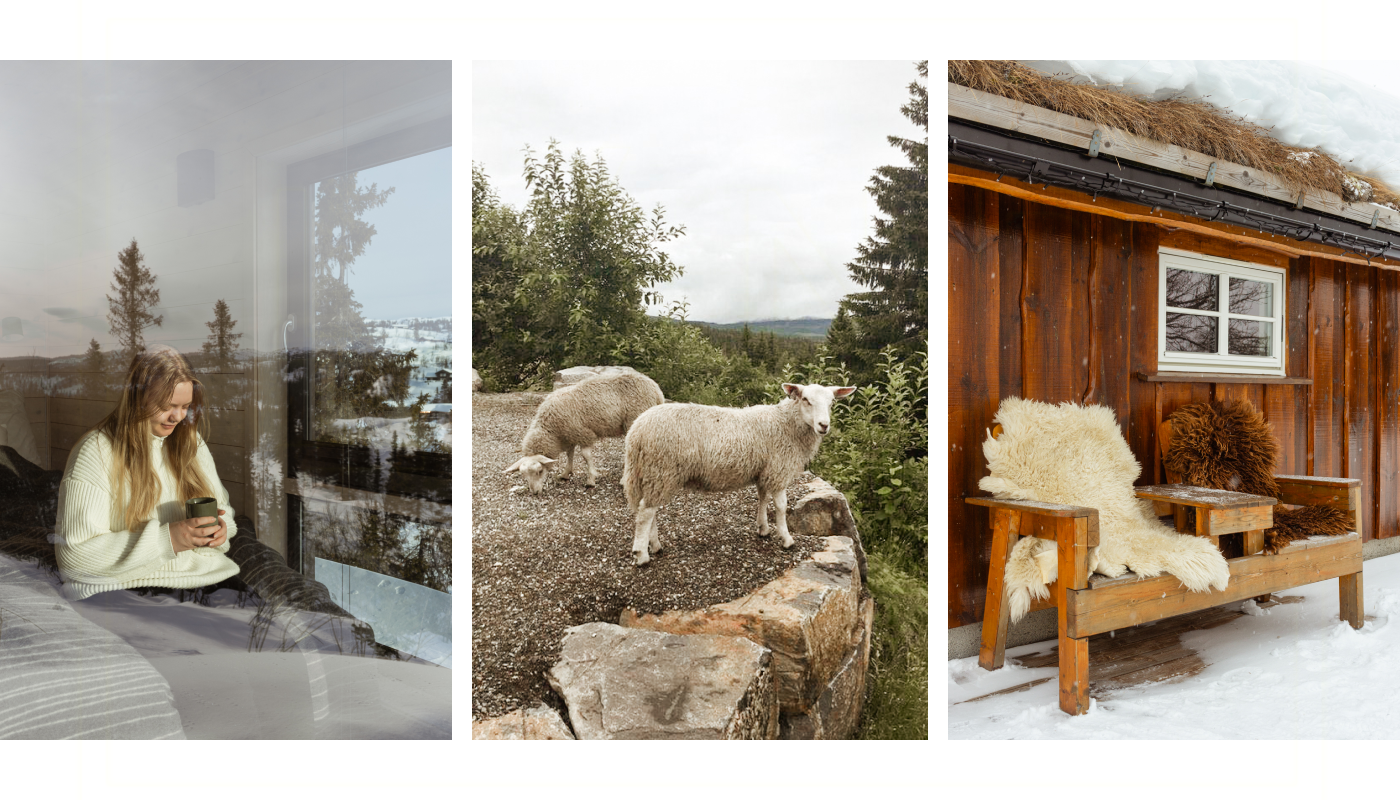 Del hytteopplevelsen hos Landfolk