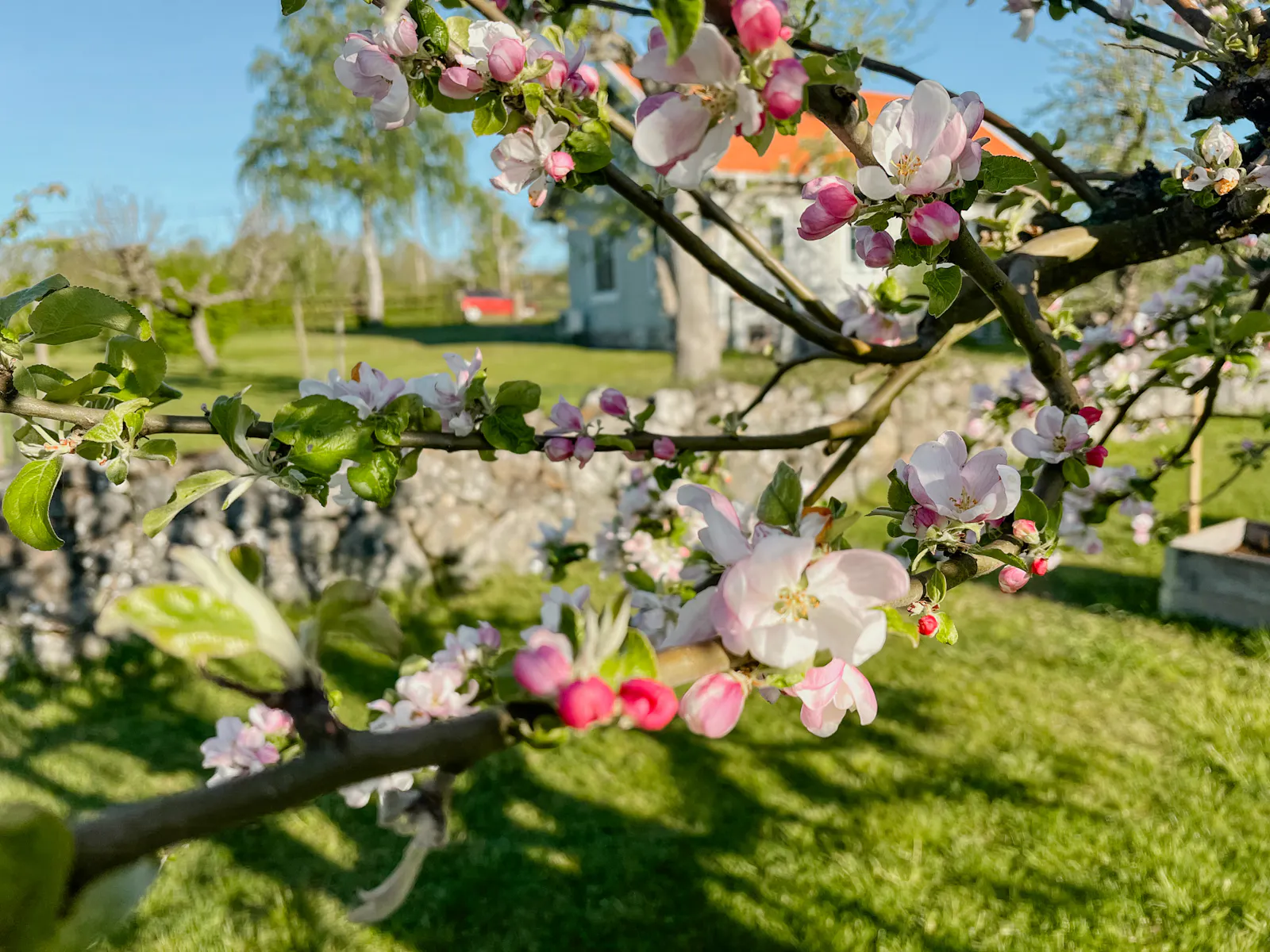 Stuga med glasveranda och vedugn i Kvilla – bild 2 av 21