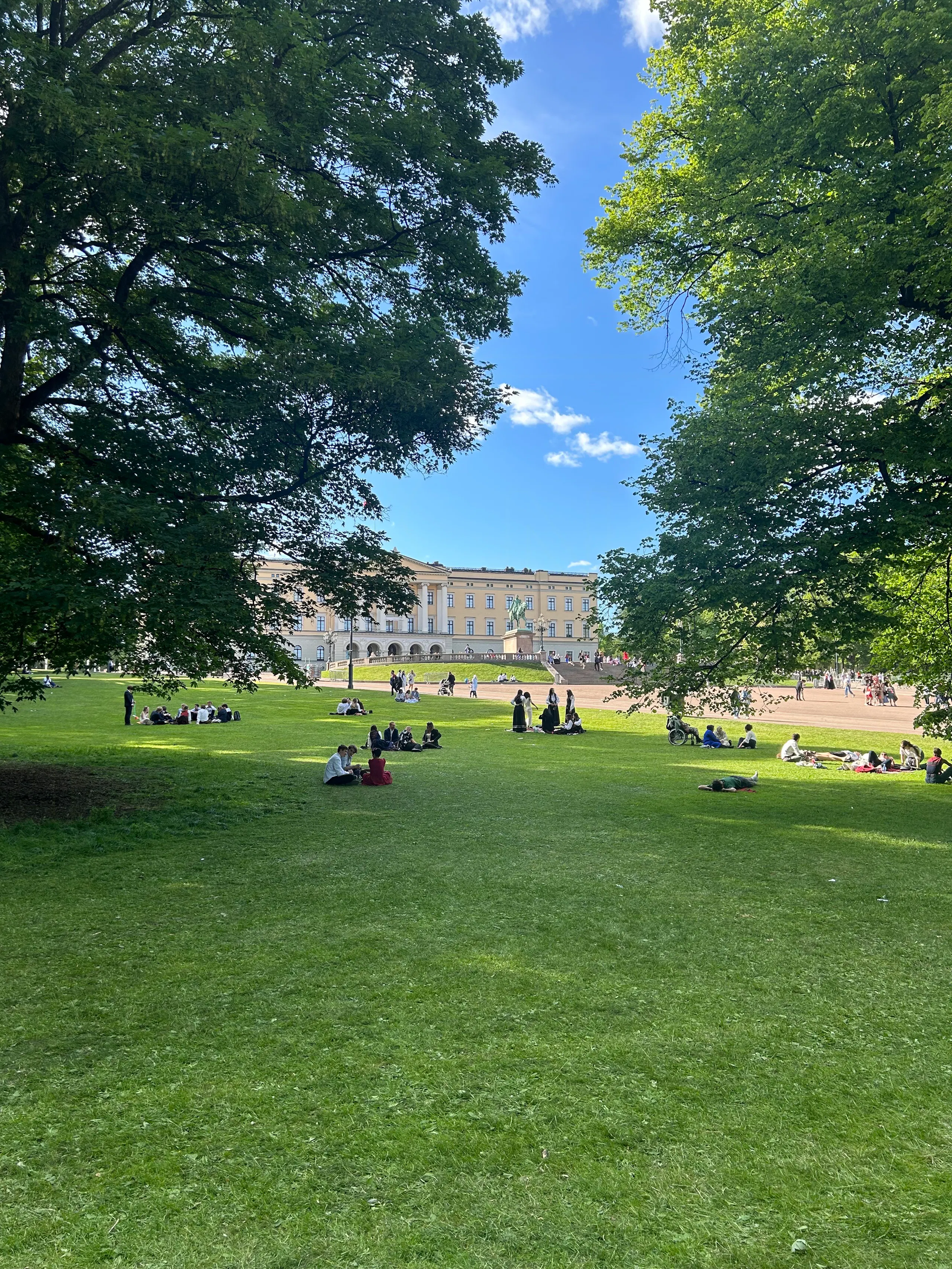 People sitting and lying on a grassy park lawn between large trees, with a pale historic building and blue sky in the background