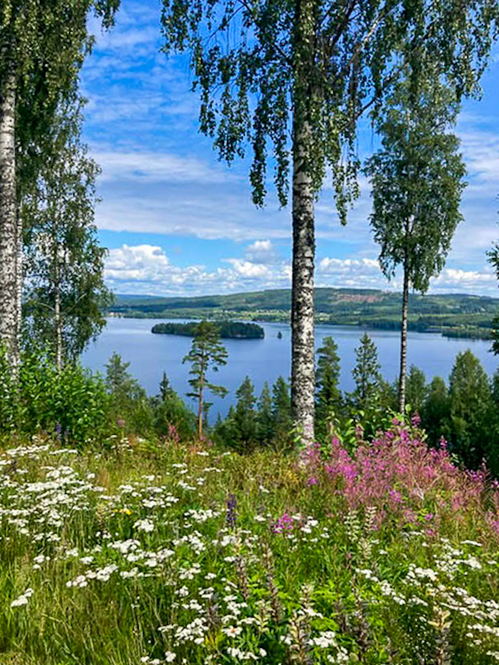 Mysigt svenskt hus vid Fryken med öppen spis – bild 17 av 24
