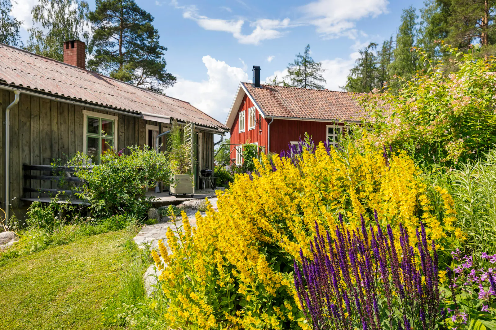 Ekologiskt torp vid sjön Klämmingen – bild 16 av 22
