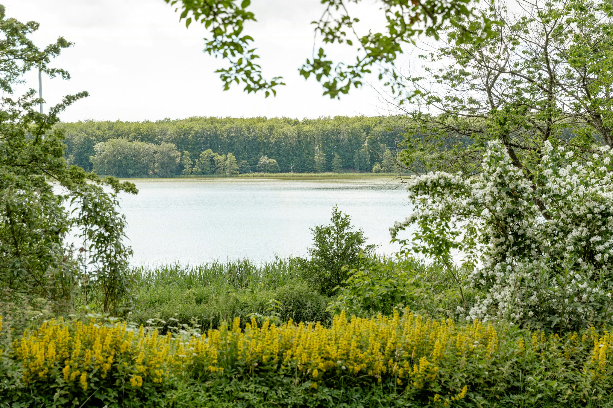 Lolland-Falster cover image