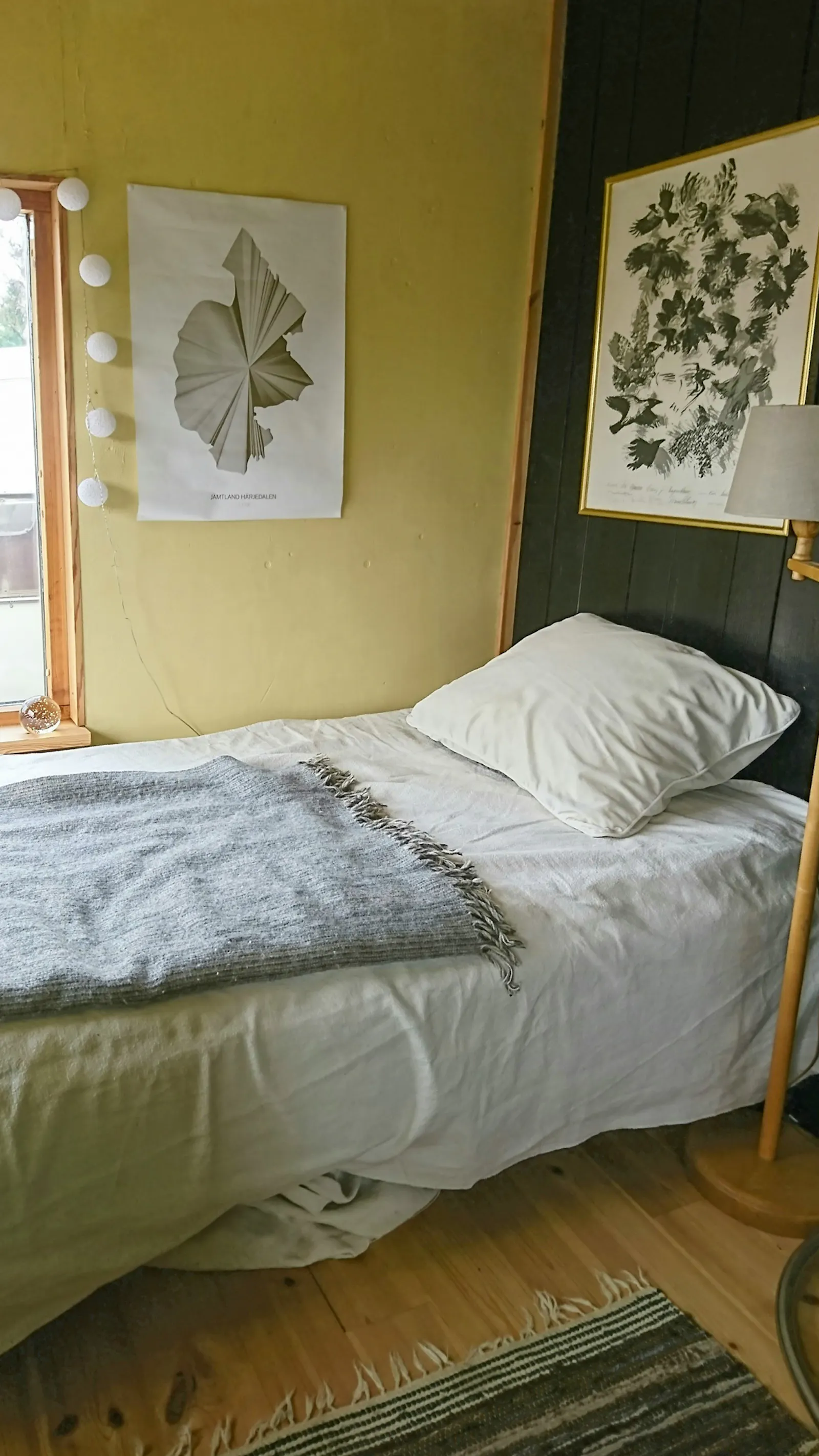 Ekohus med fjällutsikt i Högåsen nära Åre – bild 11 av 21