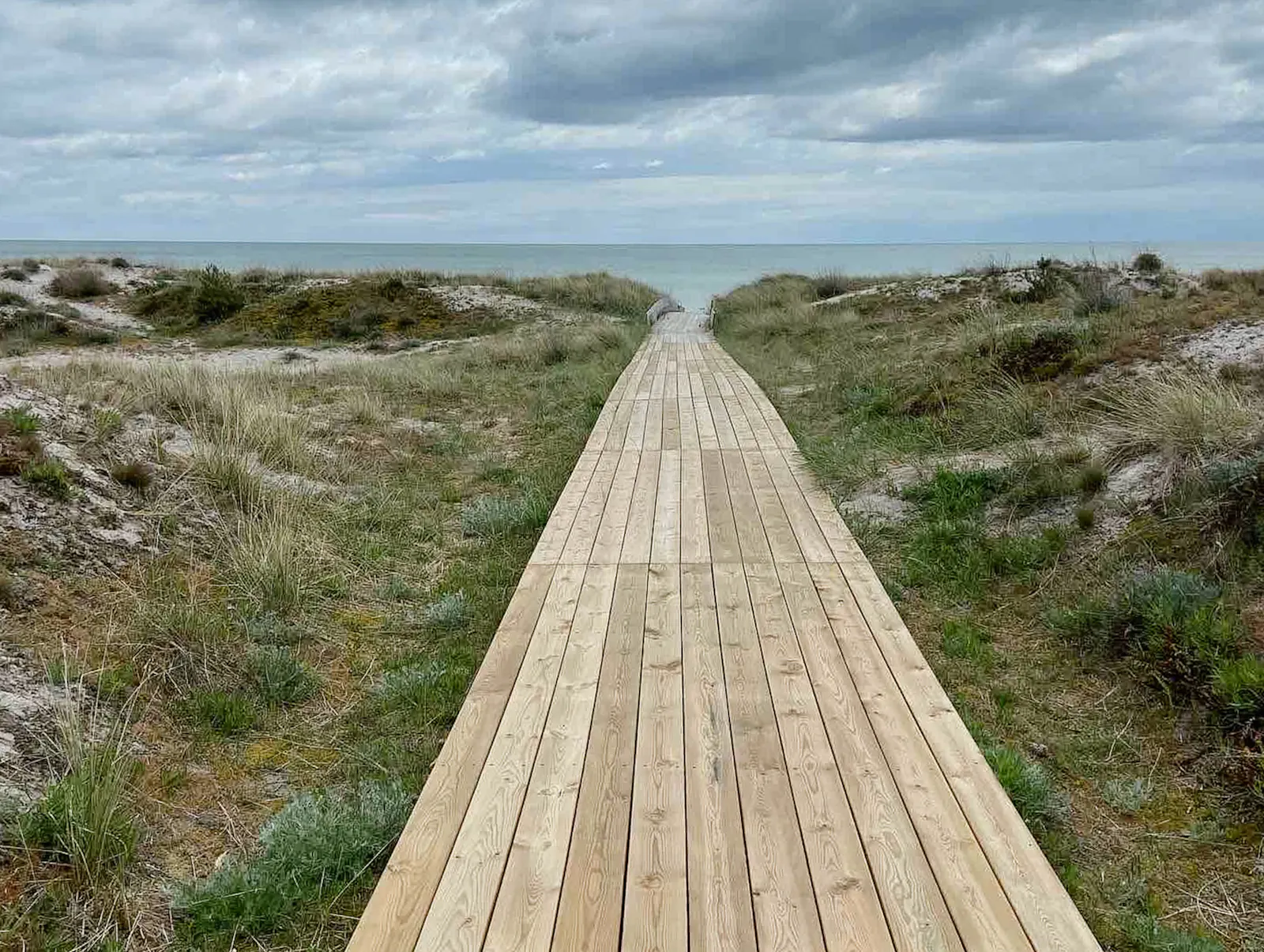 Gästhus vid park och strand i Falsterbo – bild 20 av 22