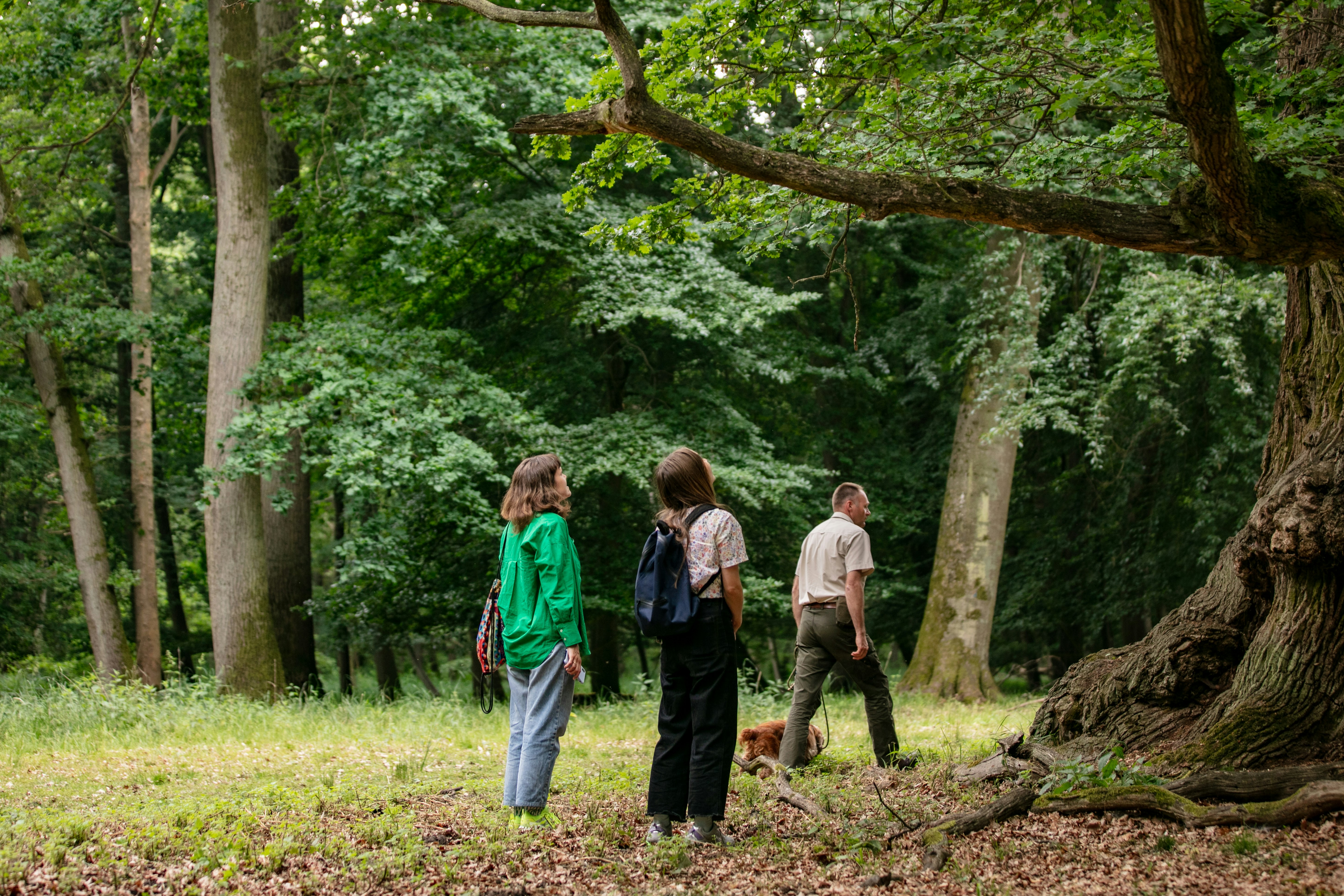 Discover Ivenacker with Forester Ralf Heckel