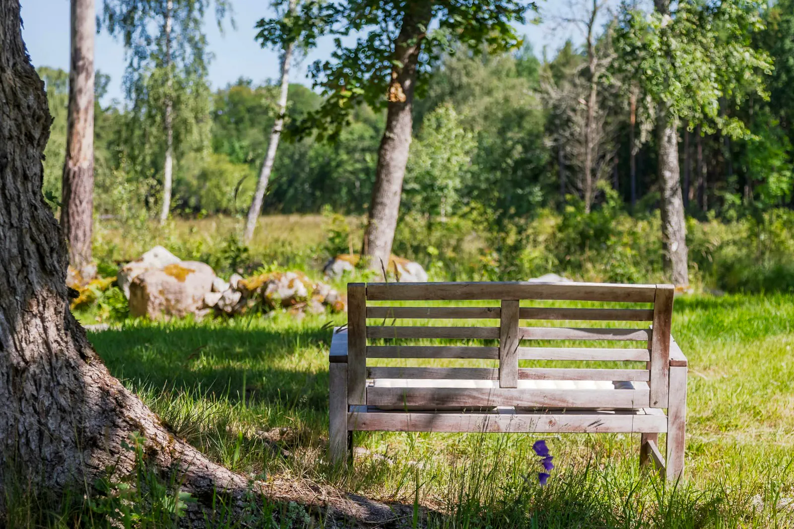 1800-talsstuga på Fogdö omgiven av skog och äng – bild 23 av 24