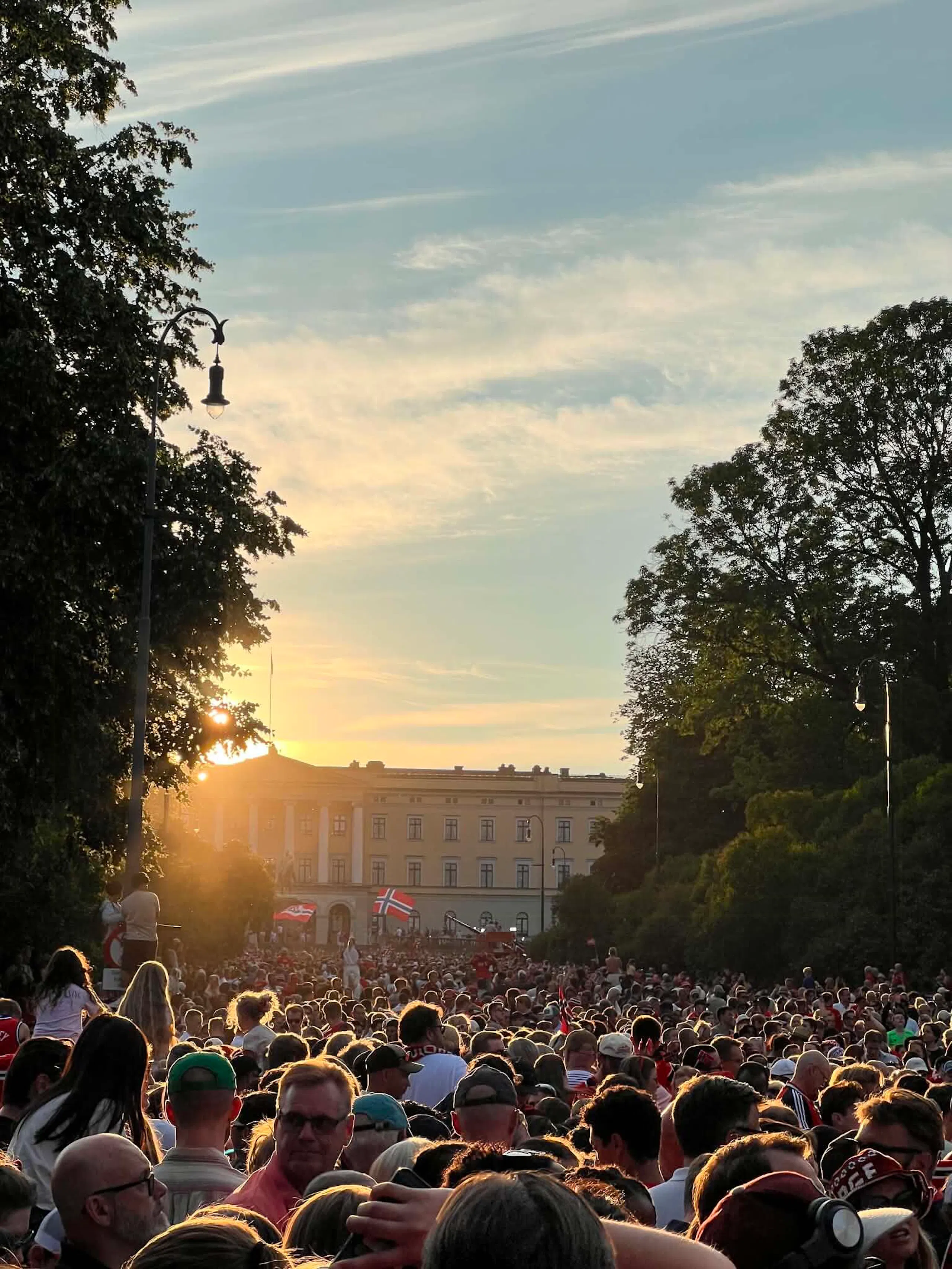Crowded outdoor gathering at sunset on a tree-lined street, with a large beige building in the background and a Norwegian flag above the crowd